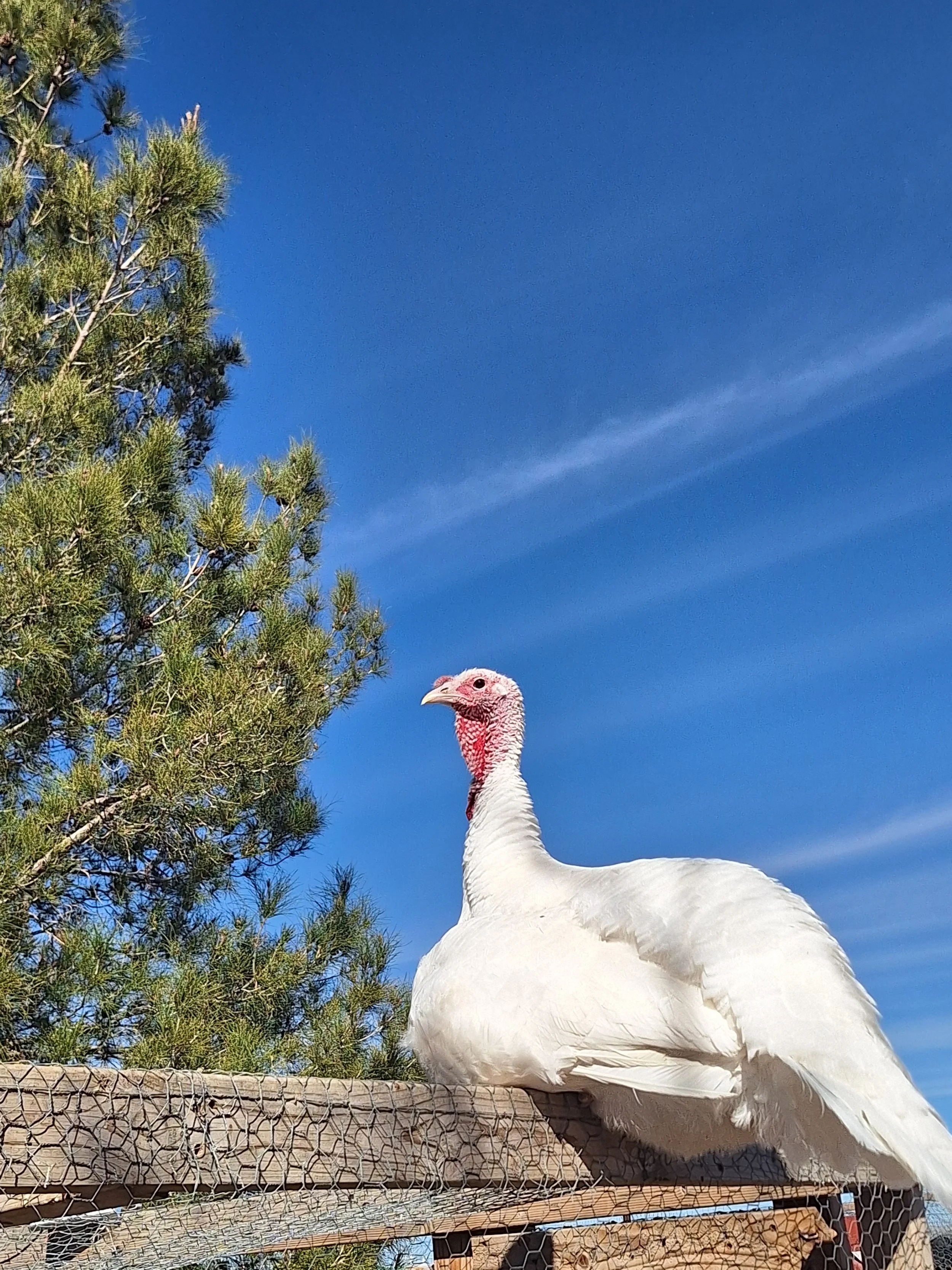 20260208_102816.jpg (Copy)