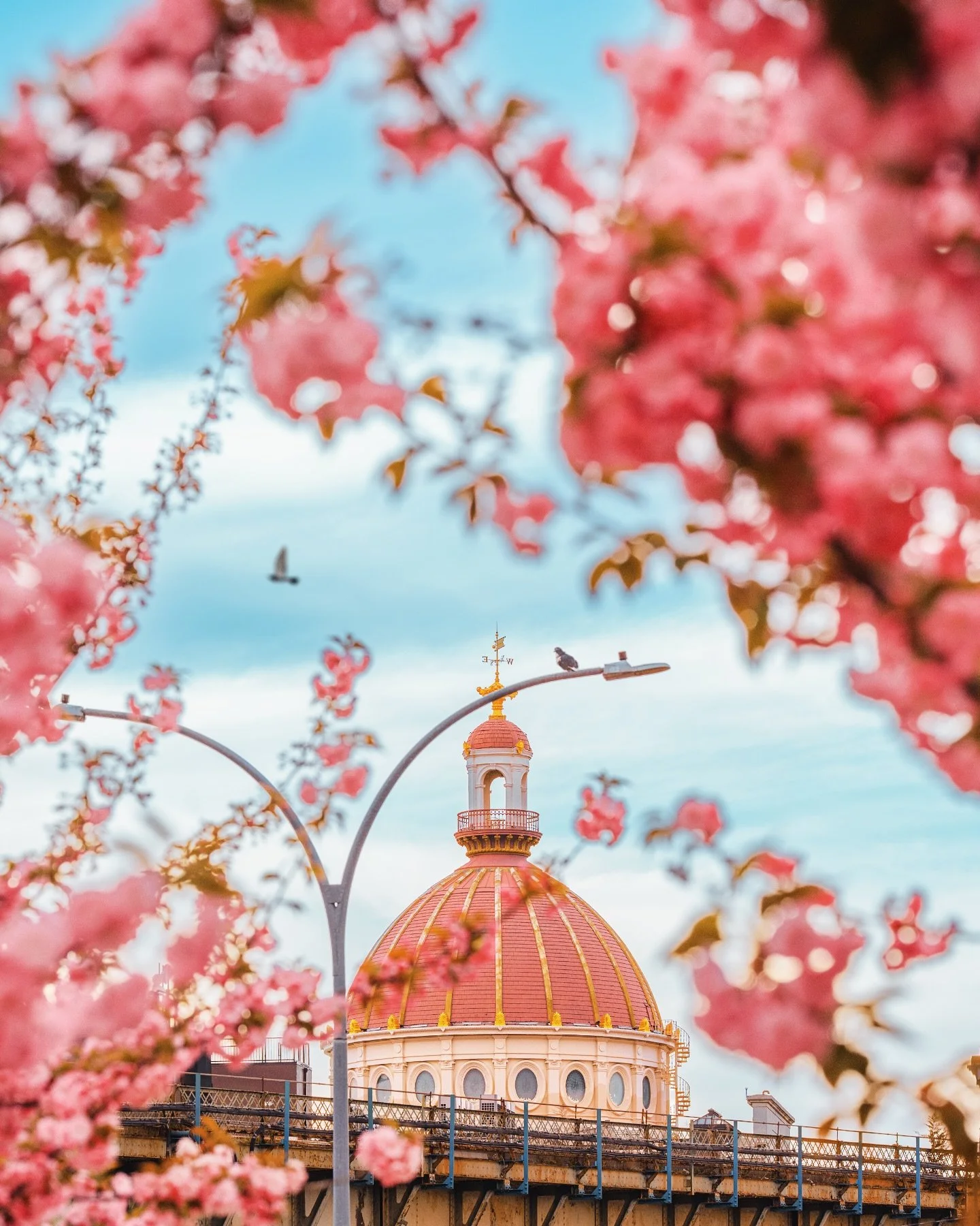 williamsburg savings bank 🌸
&bull; 
&bull;
&bull;
shot on sony a7c ɪɪ @sonyalpha 
&bull;
&bull;
&bull;
#streetclassics #madewithlightroom #streetgrammers #streetmoment #nycprimeshotz #ny_shooters #moostlyfilm #theglobalphotographycommunity  #tonesof