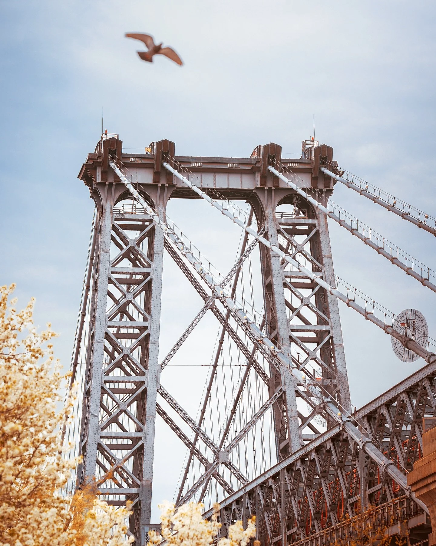 over and under the williamsburg bridge
&bull; 
&bull;
&bull;
shot on sony a7c ɪɪ @sonyalpha 
&bull;
&bull;
&bull;
#streetclassics #madewithlightroom #streetgrammers #streetmoment #nycprimeshotz #ny_shooters #moostlyfilm #theglobalphotographycommunity