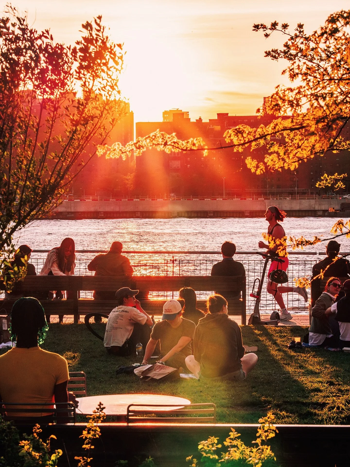evening at the park 🌇
&bull;
&bull;
shot on sony a7c ɪɪ @sonyalpha 
&bull;
&bull;
&bull;
#streetclassics #madewithlightroom #streetgrammers #streetmoment #nycprimeshotz #ny_shooters #moostlyfilm #theglobalphotographycommunity  #tonesofnyc #nightshoo