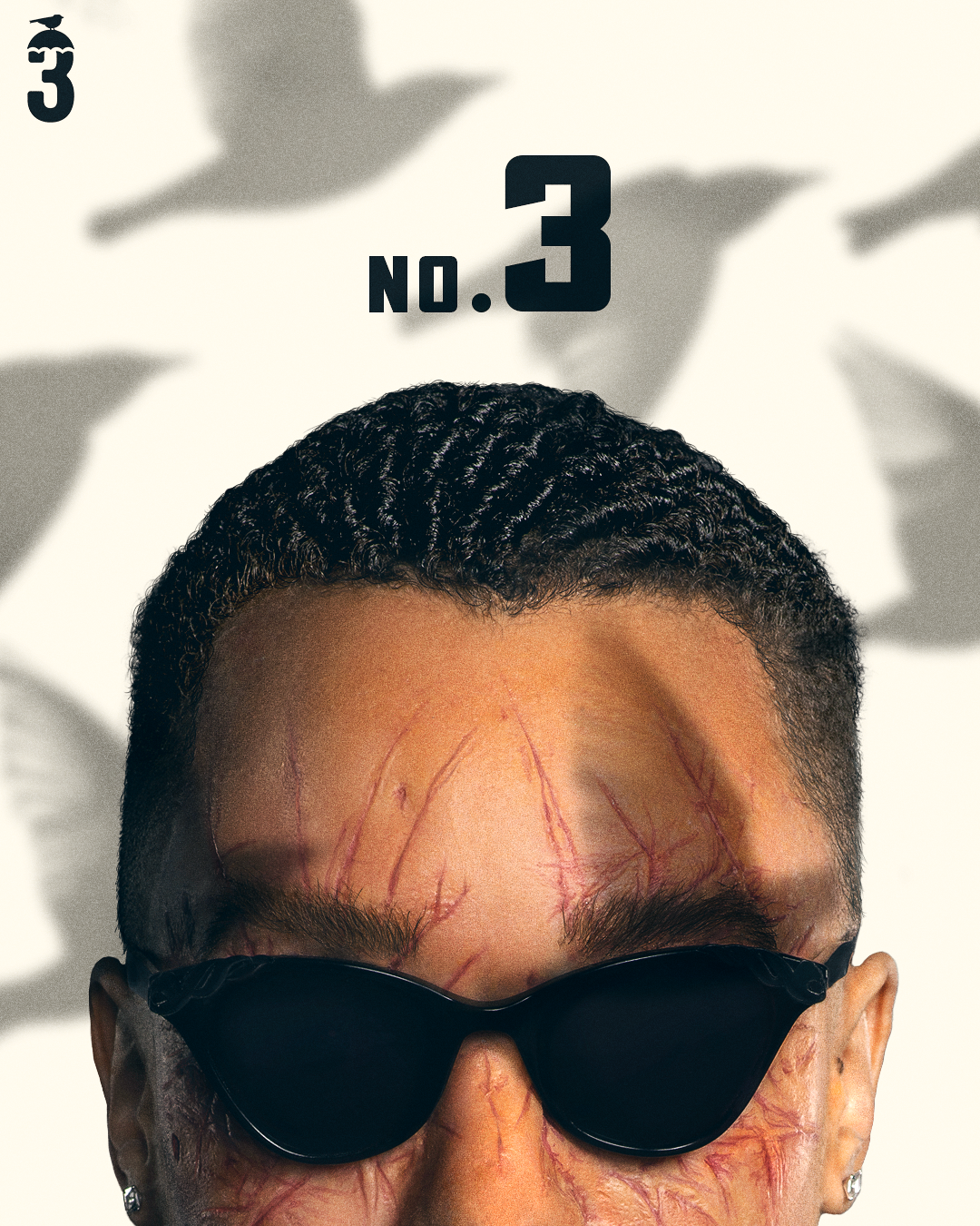 SparrowArt_Teaser_3_4x5_Fei_RT.png