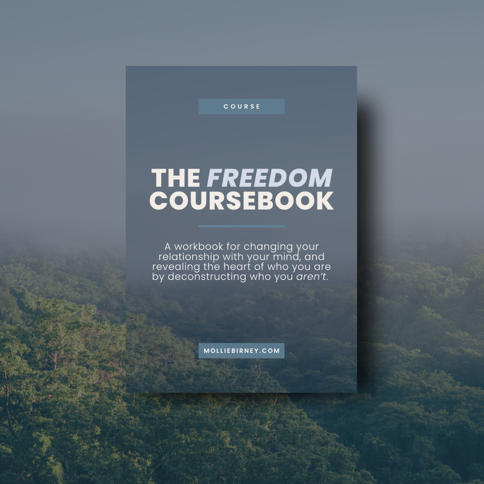 THE FREEDOM COURSEBOOK