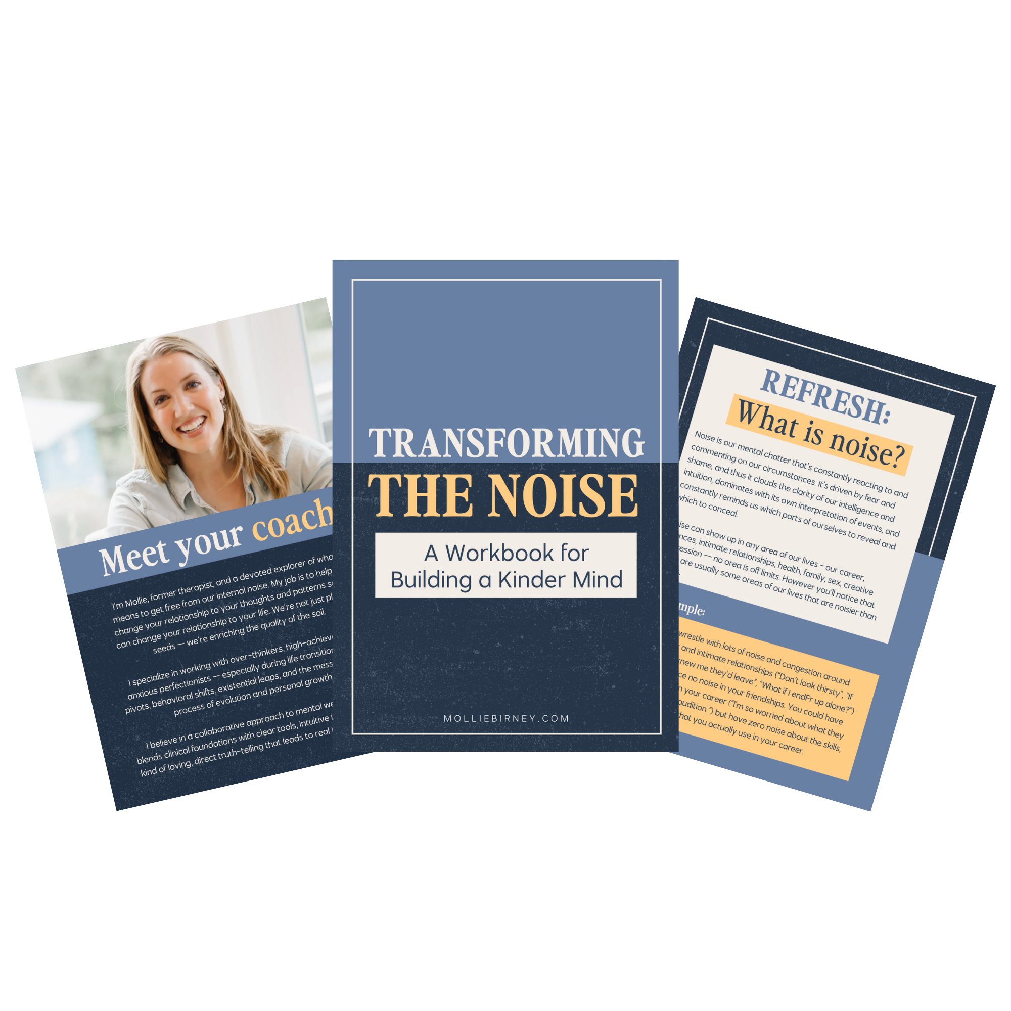 The image shows a set of educational workbook pages titled "Transforming the Noise: A Workbook for Building a Kinder Mind" by Mollie Birney. One page features a smiling woman with the caption "Meet your coach," and another page includes a section headlined "Refresh: What is noise?" with informational text about mental chatter.