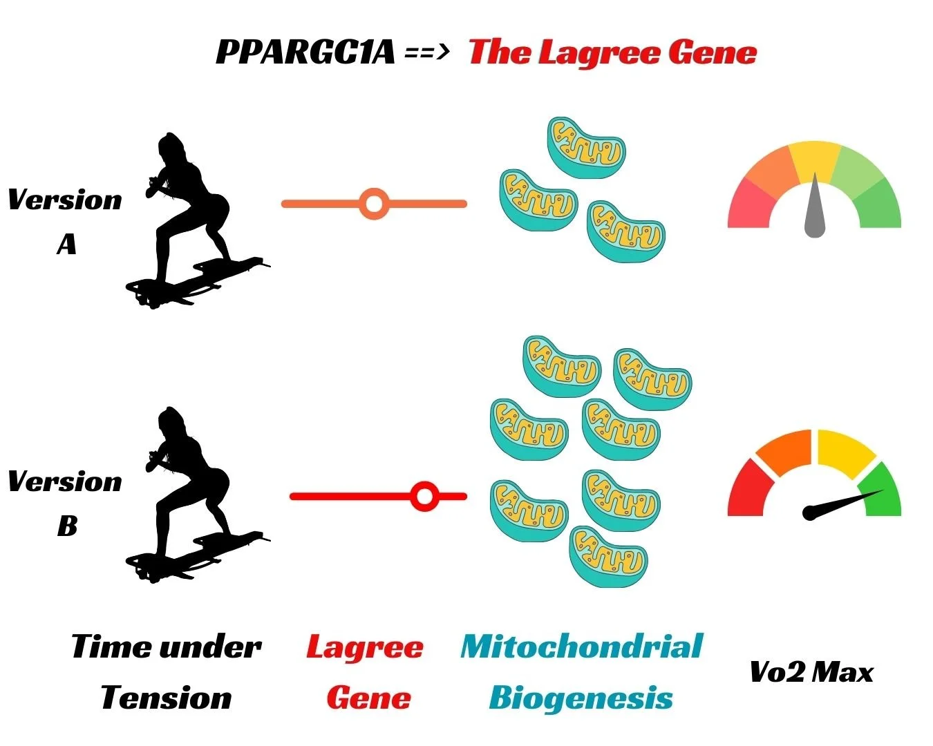 Lagree Gene Discovery Kit