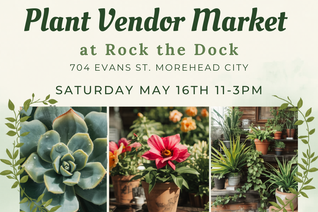 Plant Vendor Market
