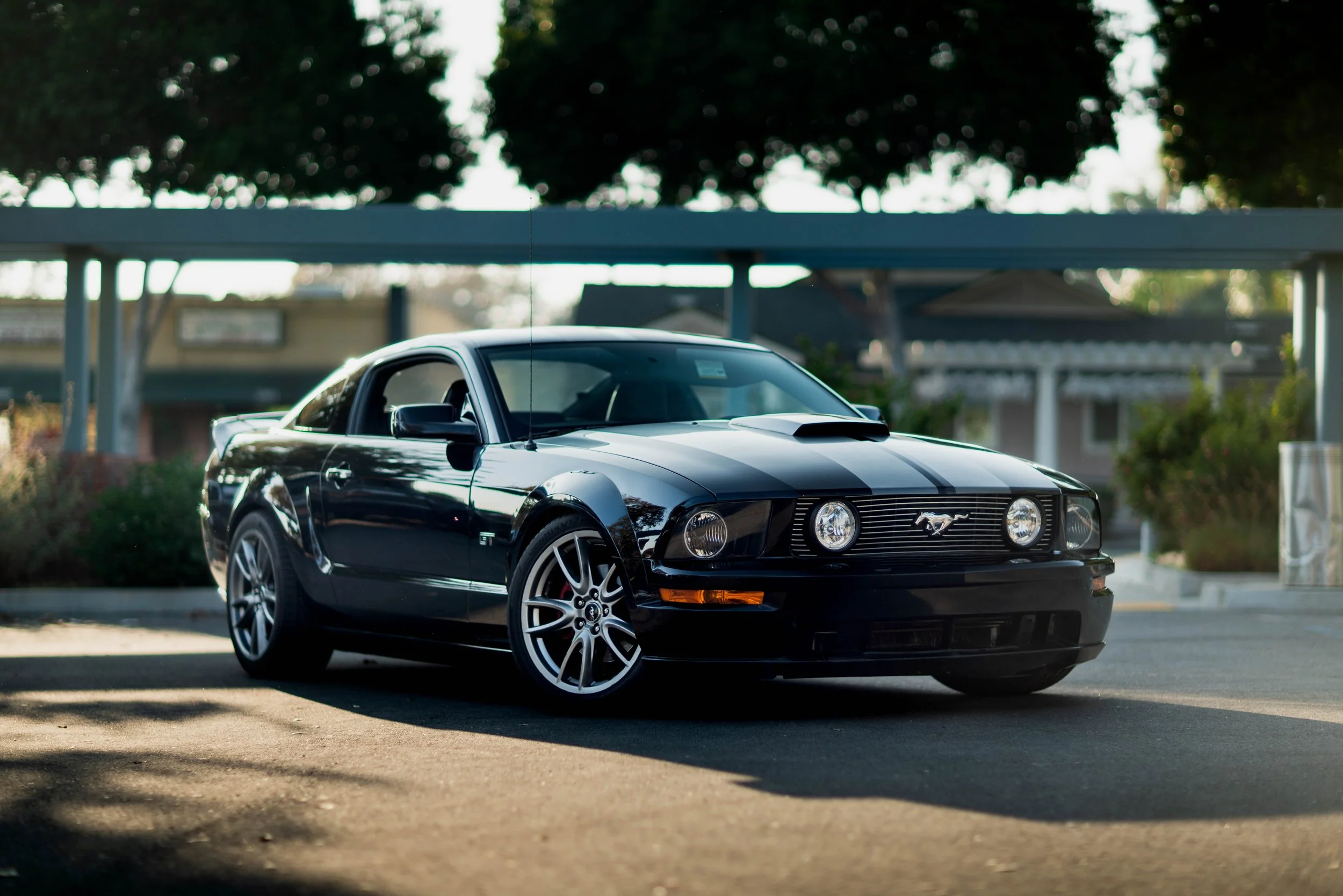 Black Ford Mustang with racing stripes parked in a parking lot under shade trees.
