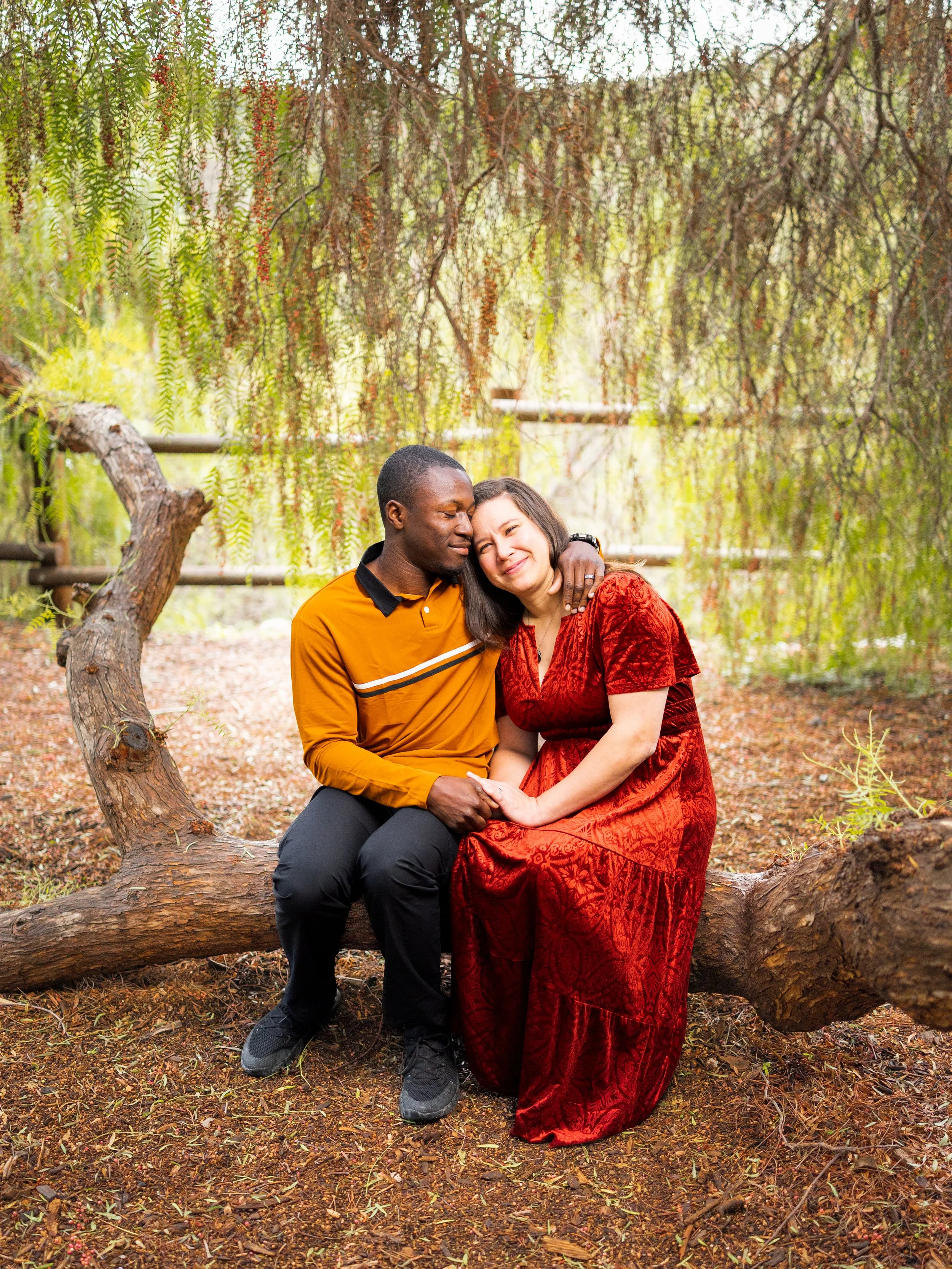 A couple sitting closely on a tree branch in a wooded area, with the man in a mustard yellow shirt and the woman in a red velvet dress, sharing an intimate moment.