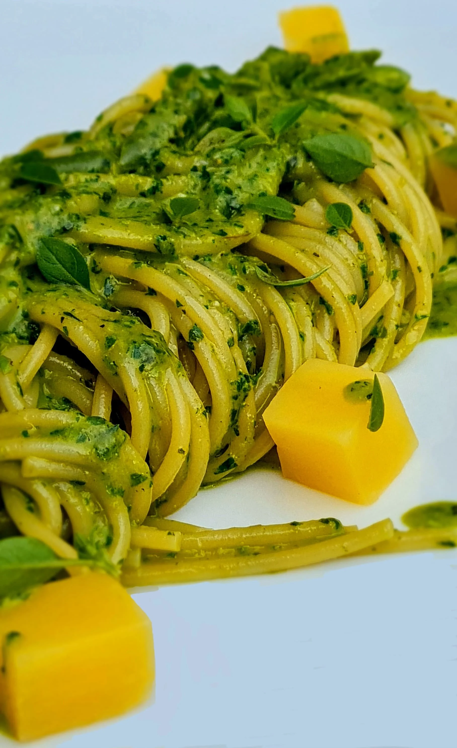 WhatsApp Image 2025-04-27 at 13.57.26 (2).jpeg