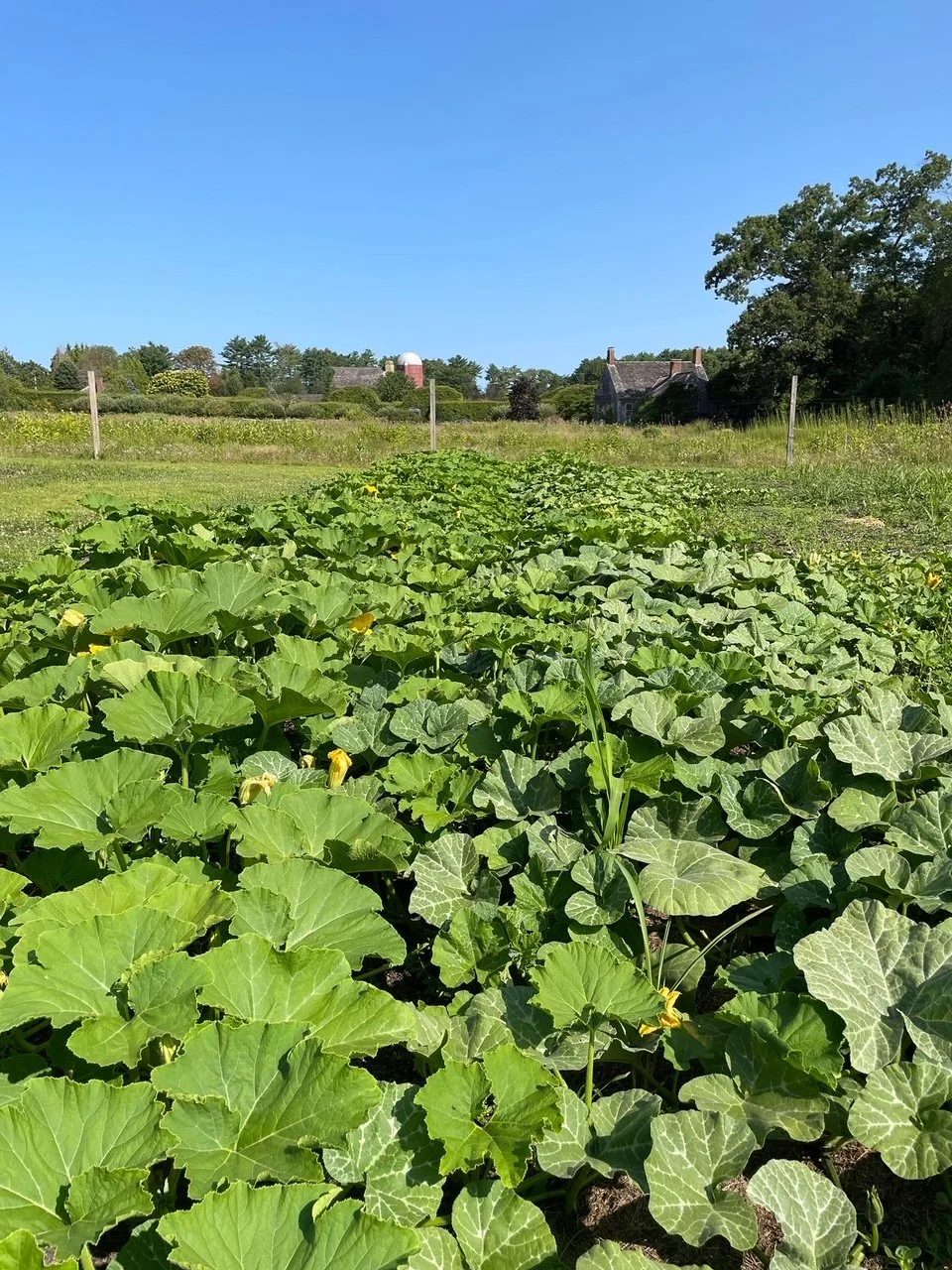 9FB8F8C5-3FB1-44BA-97F9-27BE9DA52FA6 (1).JPG