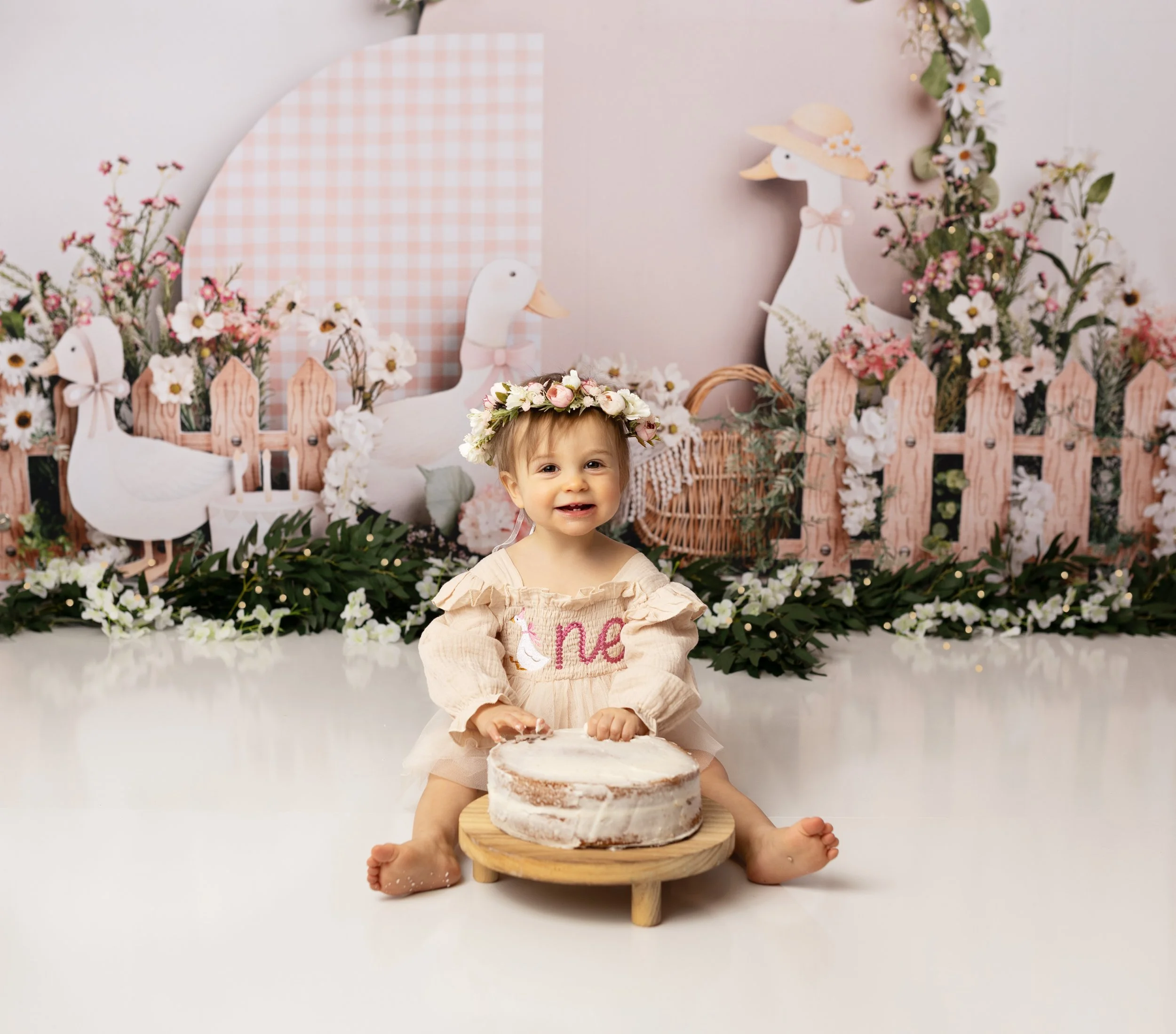 A Silly Little Goose Cake Smash Session | Louisville Cake Smash Photographer