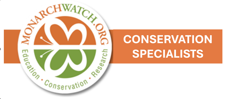 MW Cons Spcl (1).png