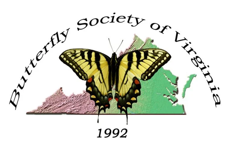 BSV LOGO (1).jpg