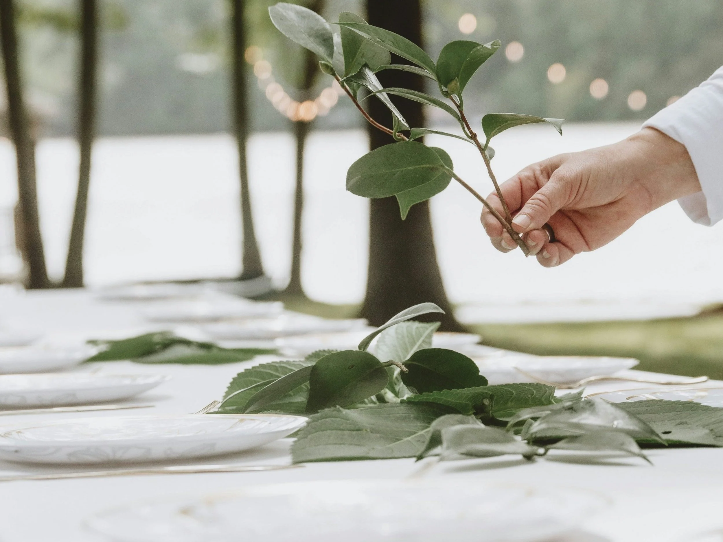 Simple white tables set for a wedding or celebration with white plates, elegant silver, decorative green leafy garlands and fairy lights in the background. Great for small weddings, post wedding events, group get-togethers and celebrations.
