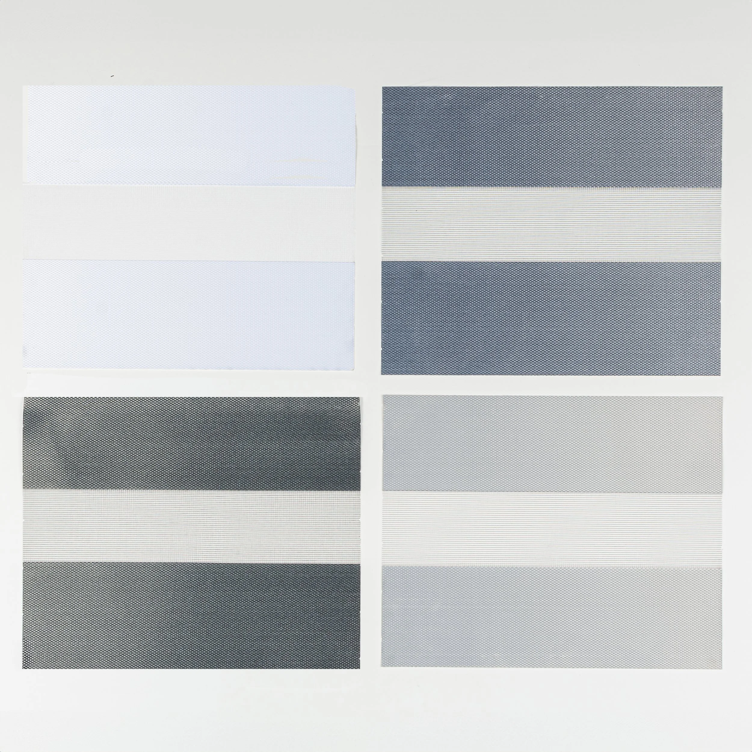 Zebra - scarlet .jpg