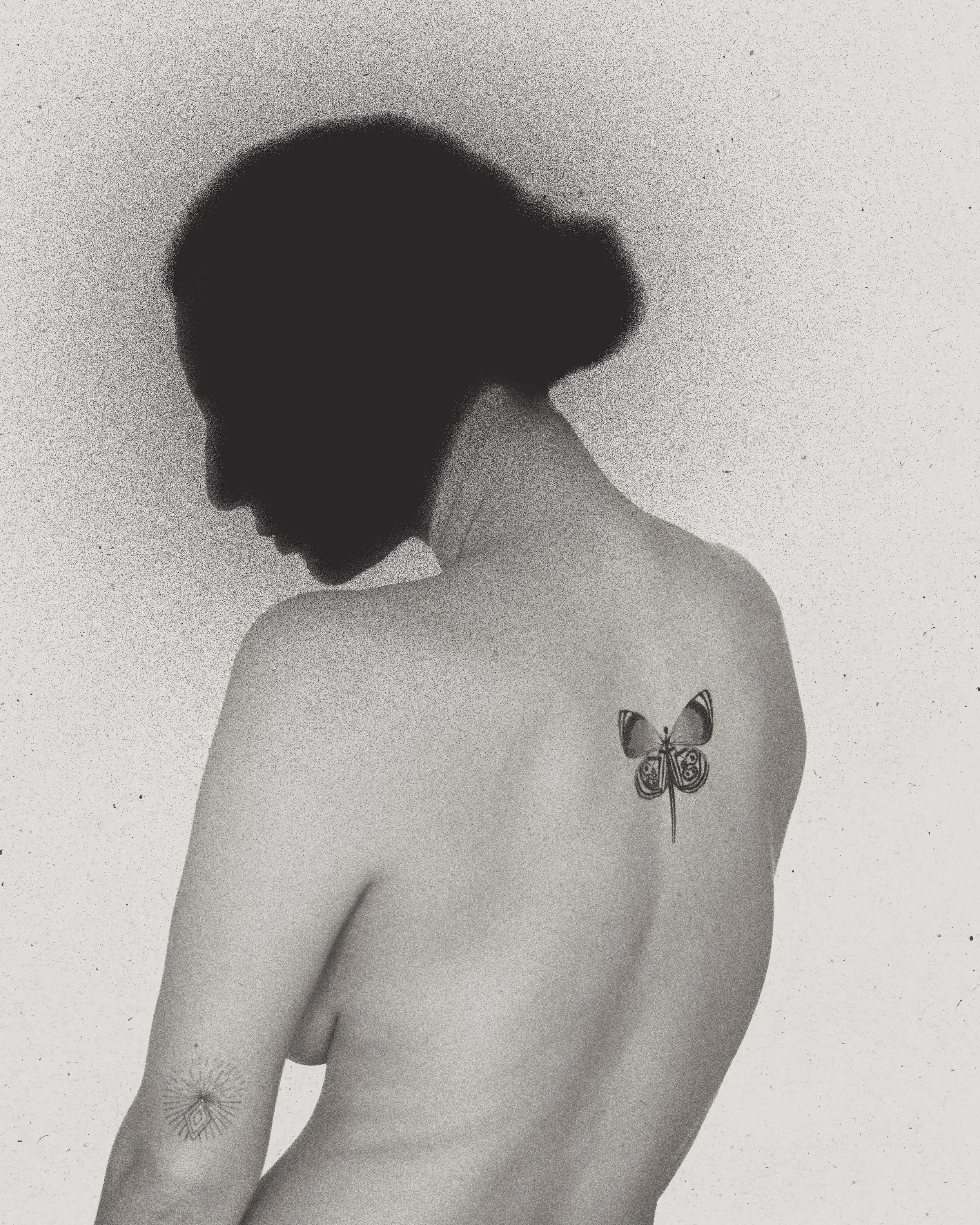 Copyright © 2025 Emilia Seidel