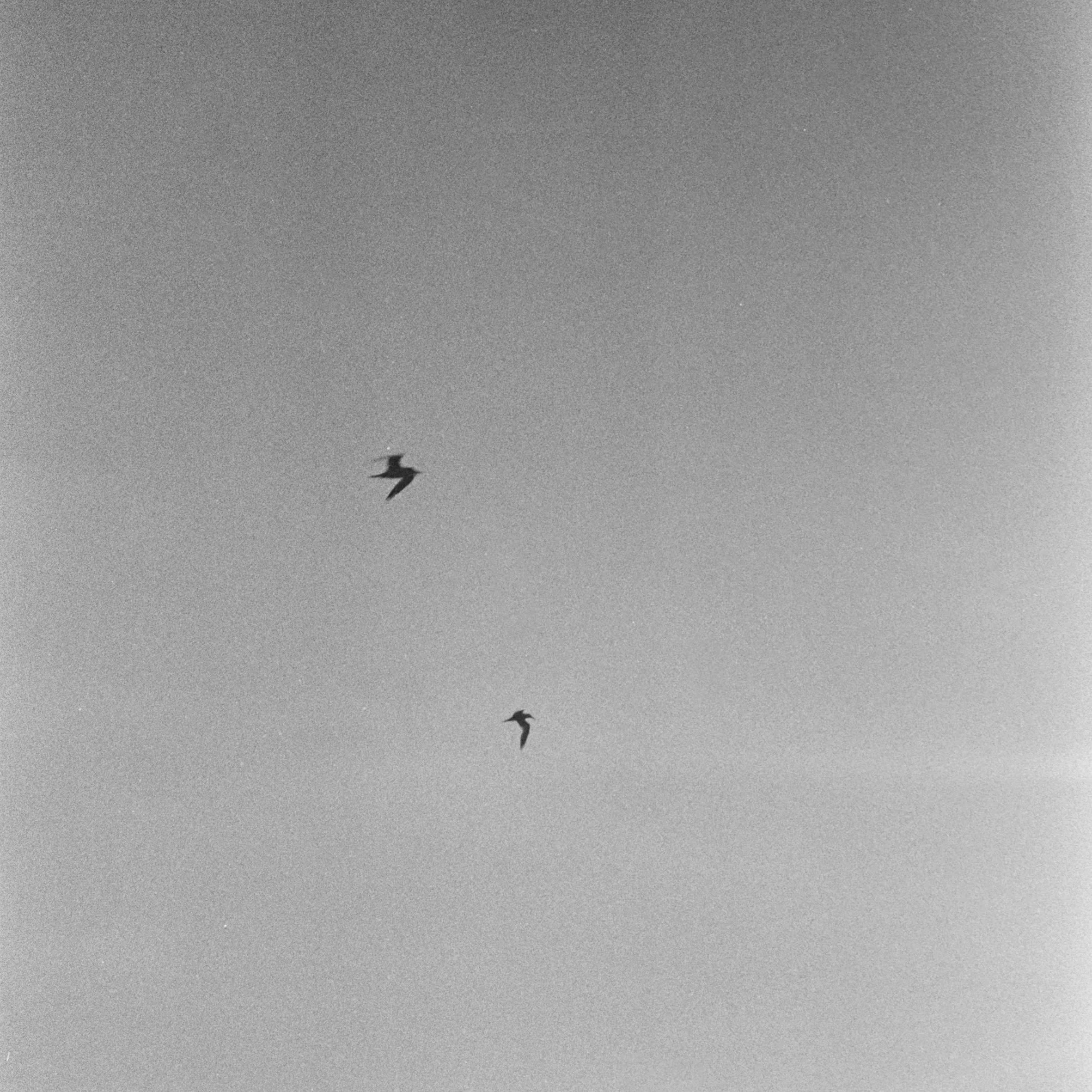 Copyright © 2025 Emilia Seidel