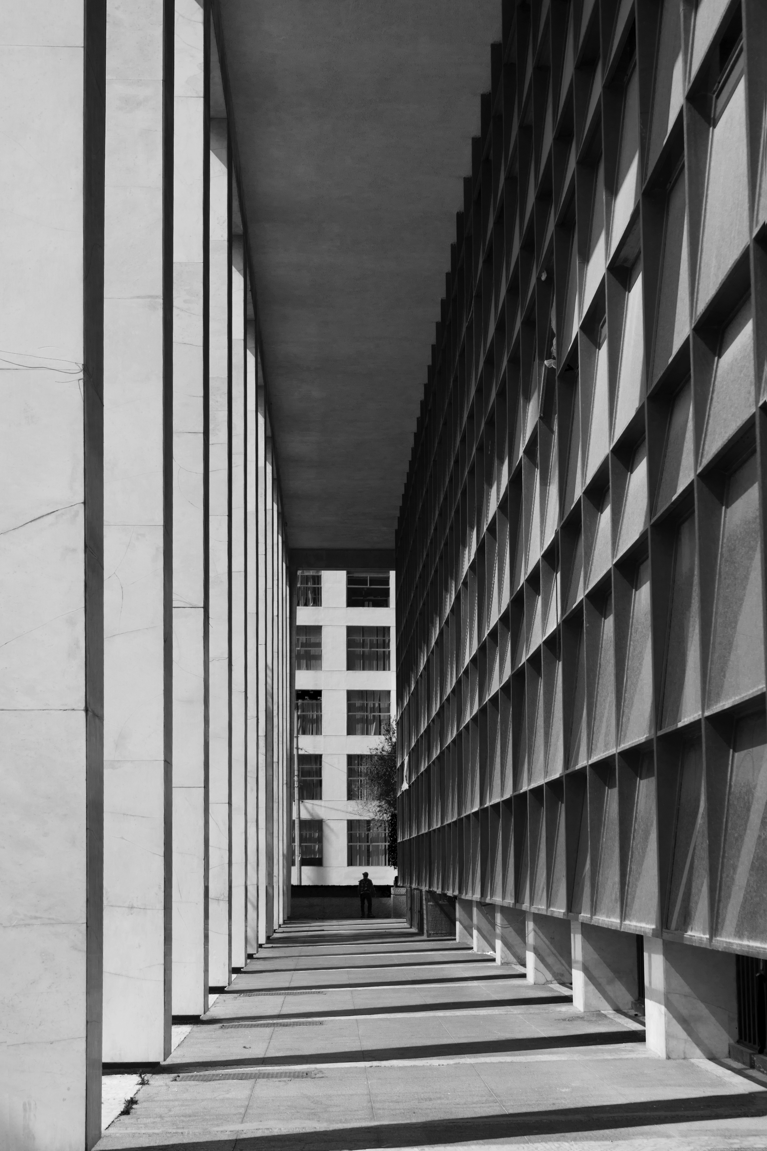 Copyright © 2025 Emilia Seidel