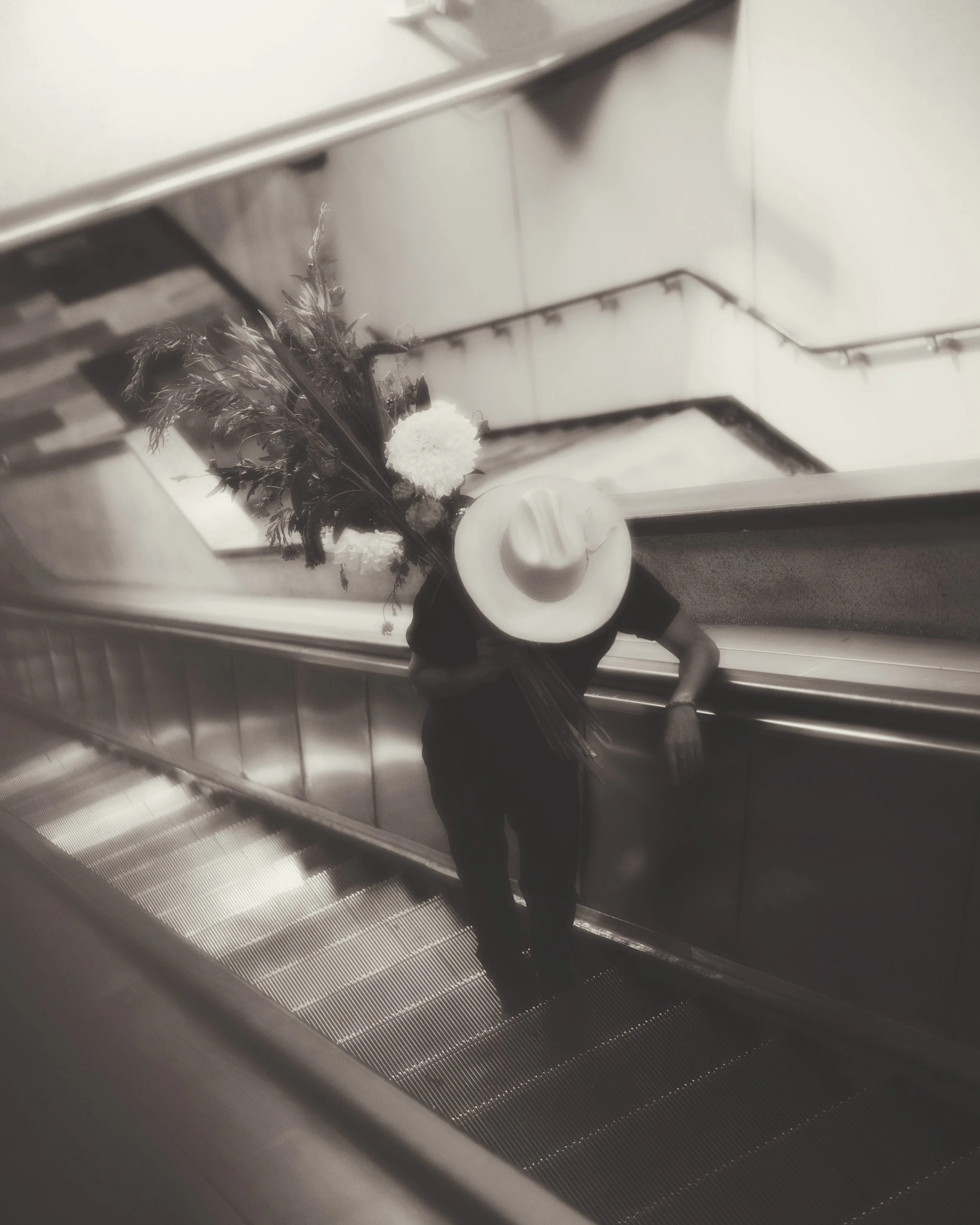 Copyright © 2025 Emilia Seidel