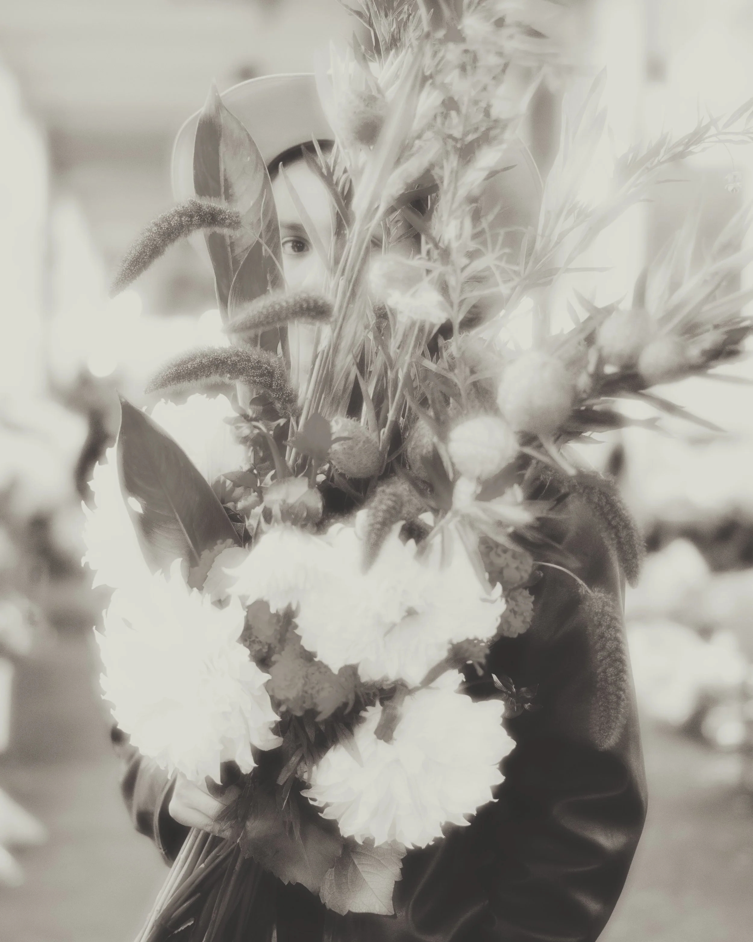 Copyright © 2025 Emilia Seidel