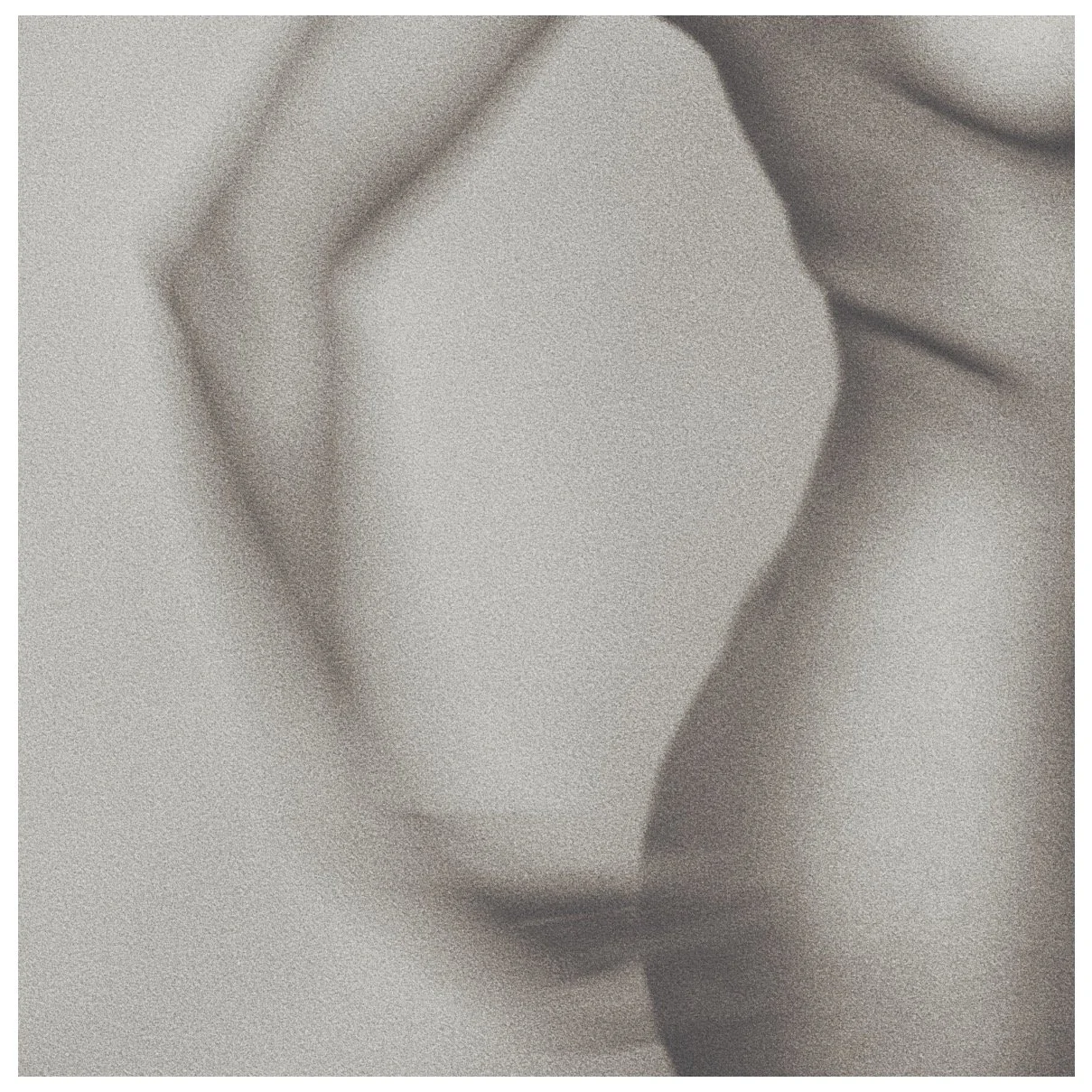 Copyright © 2025 Emilia Seidel