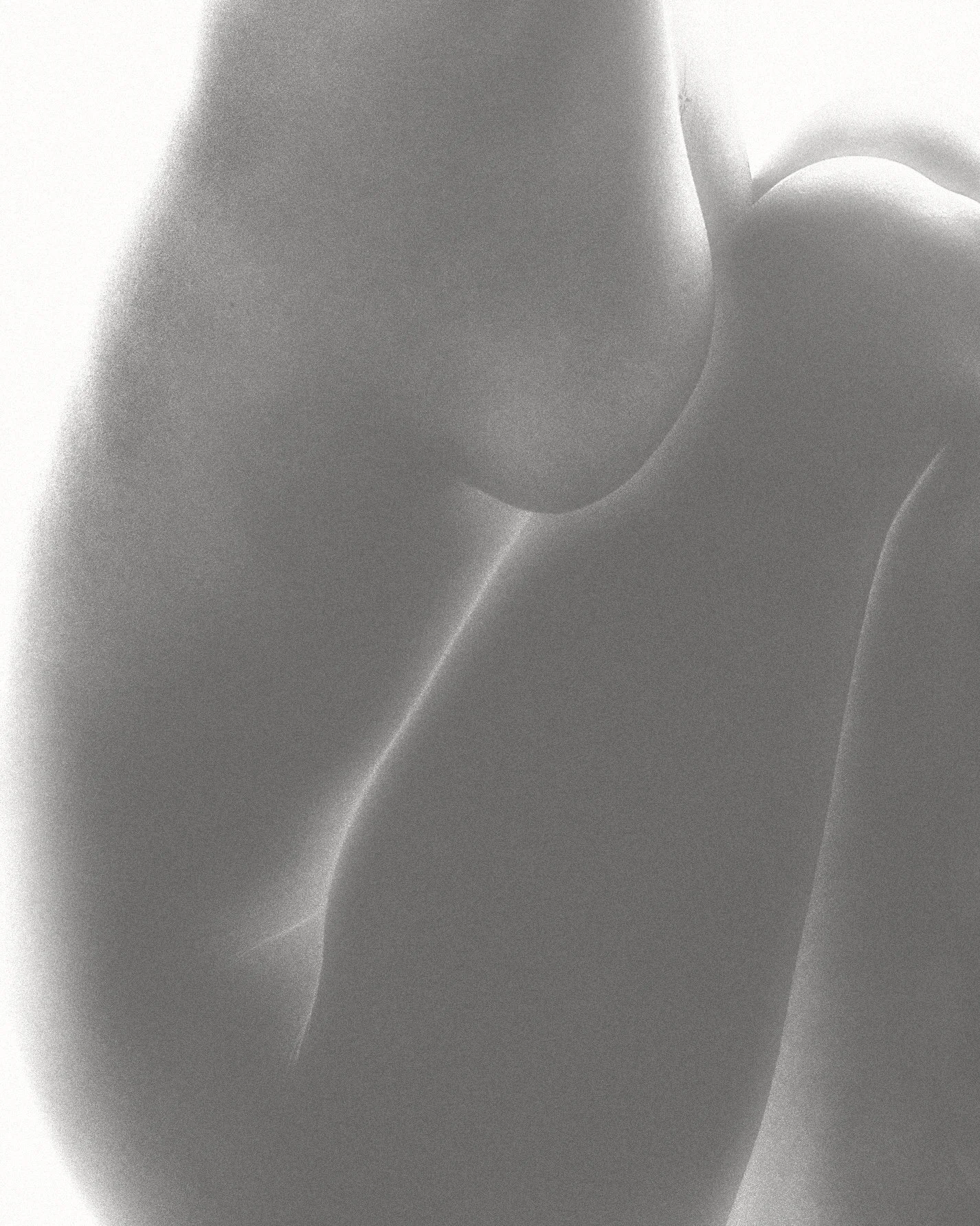 Copyright © 2026 Emilia Seidel
