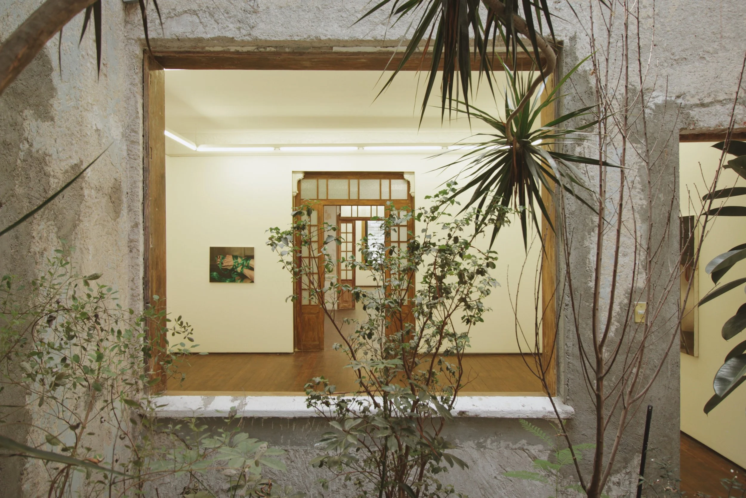 Copyright © 2025 Emilia Seidel