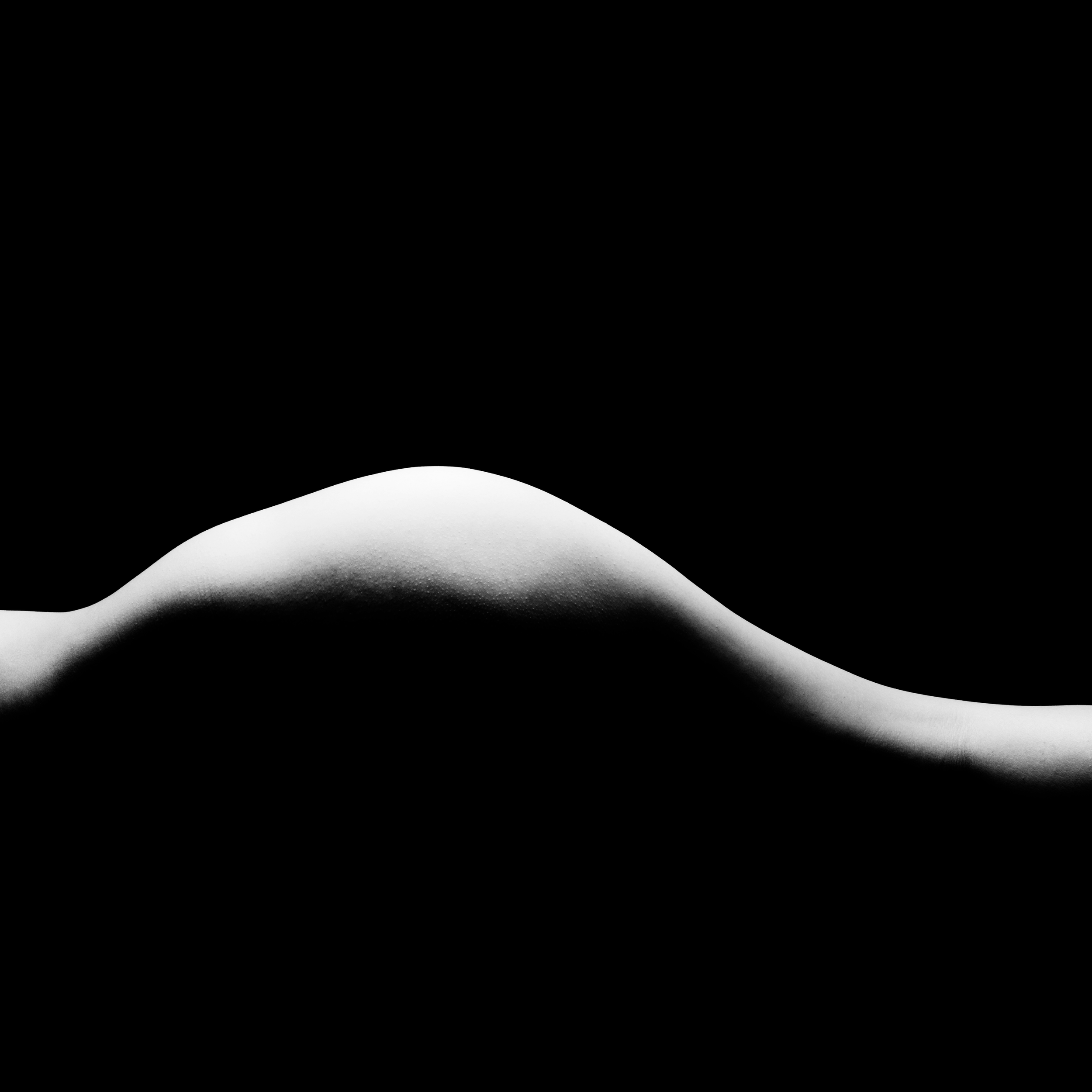 Copyright © 2025 Emilia Seidel