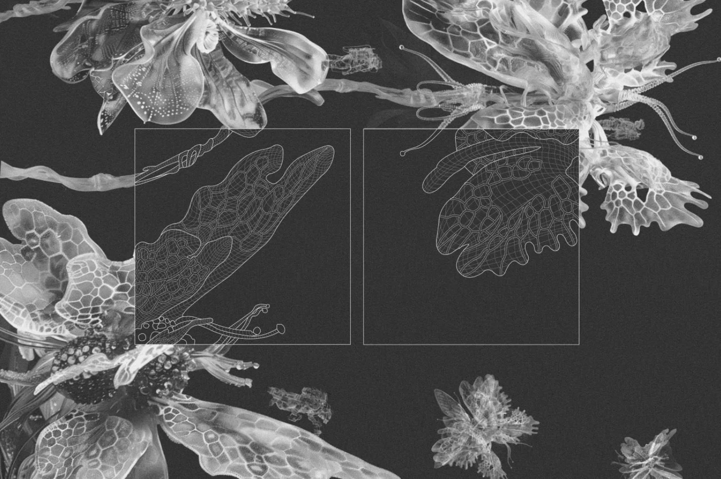 Copyright © 2025 Emilia Seidel