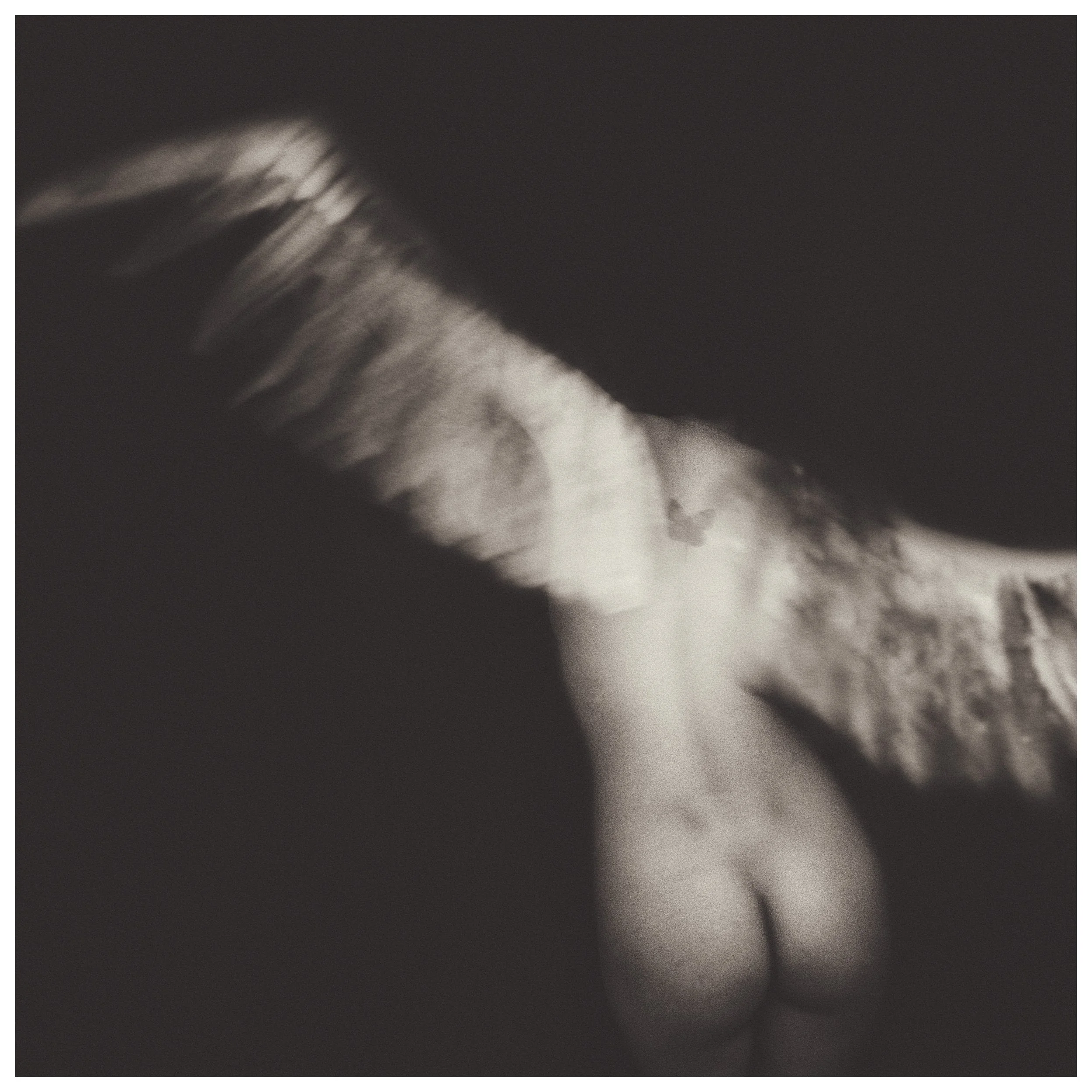 Copyright © 2025 Emilia Seidel