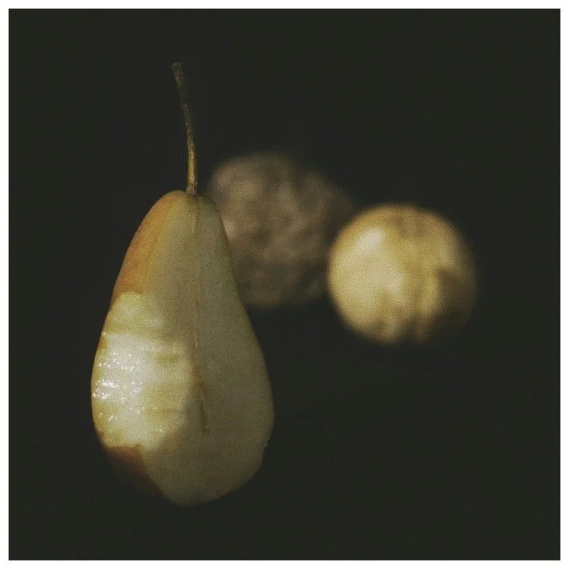 Copyright © 2025 Emilia Seidel