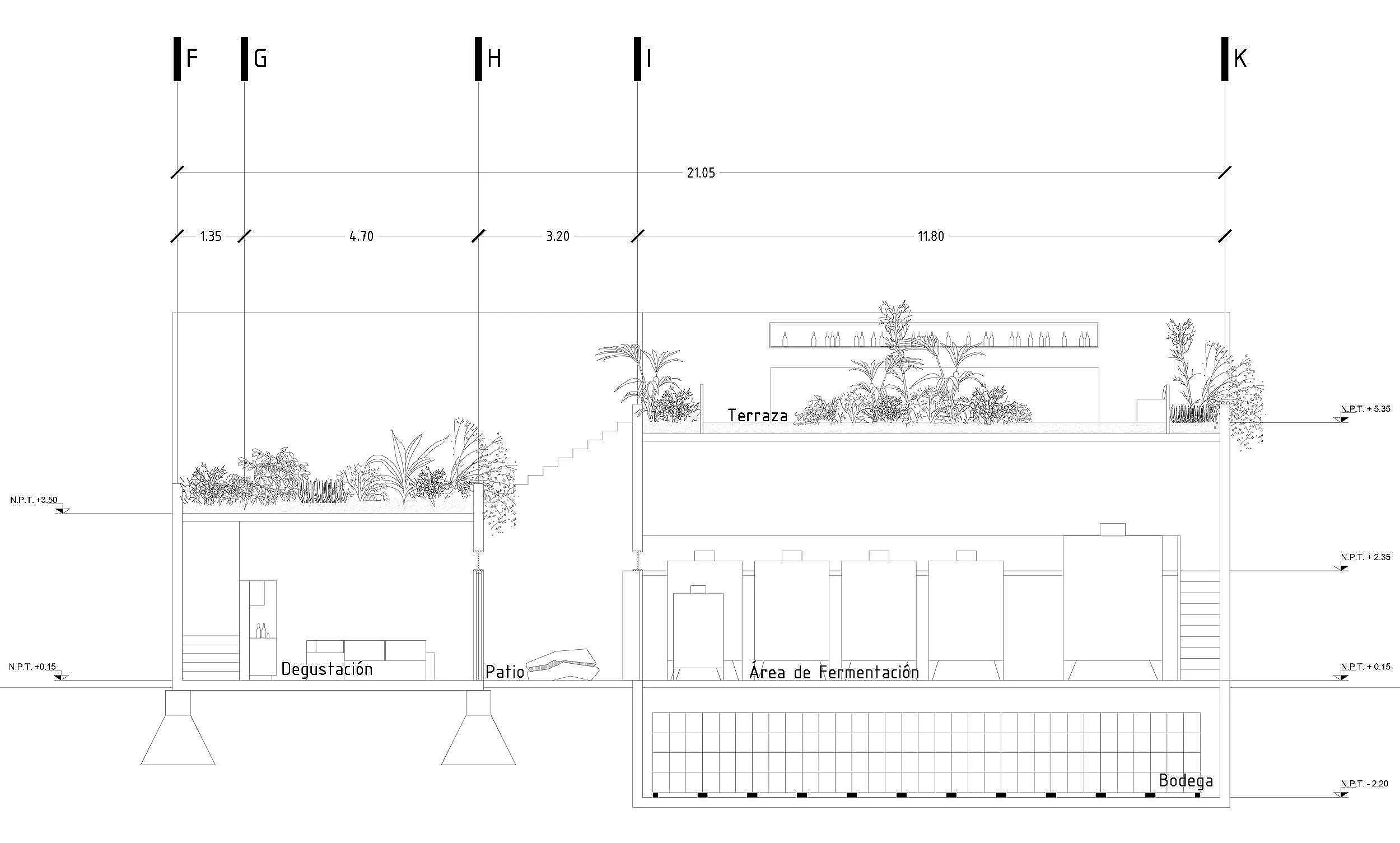 Plano arquitectónico de un diseño de espacio con áreas de terraza, patio, bodega, zona de fermentación y degustación, con vegetación y escaleras.