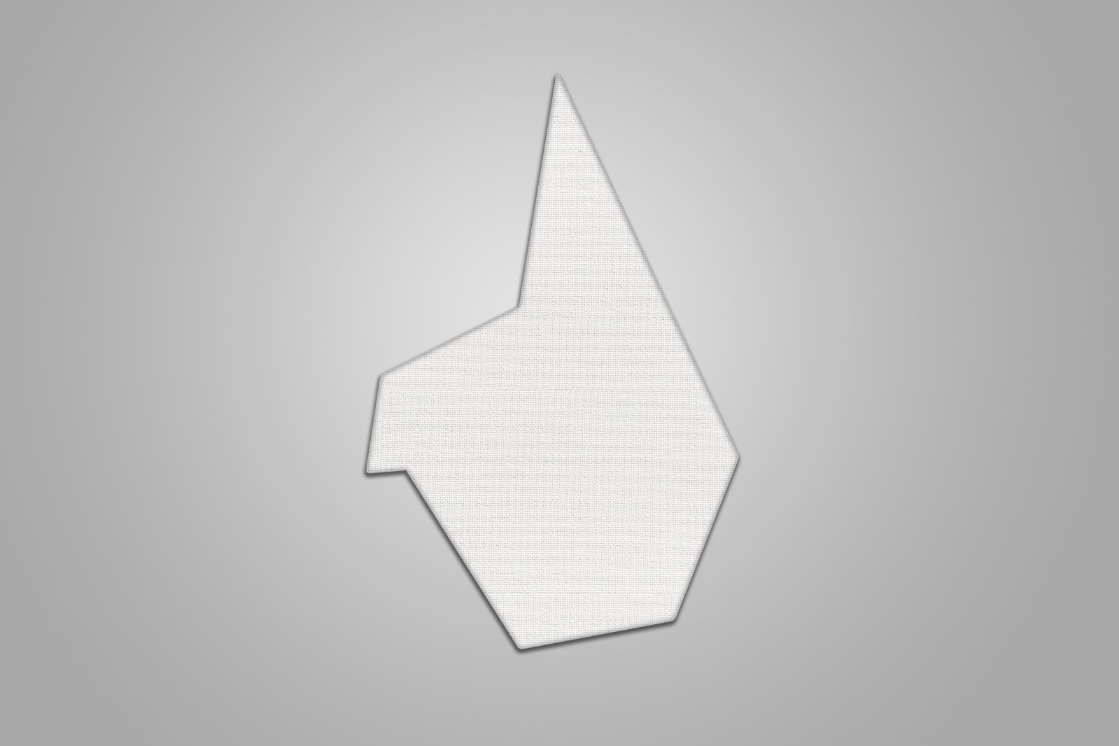 CanvasShape_image4.jpg