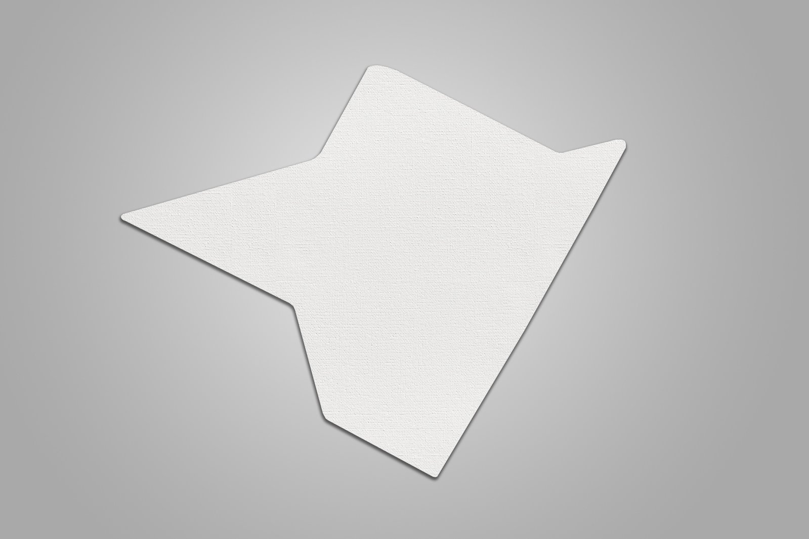 CanvasShape_image1.jpg