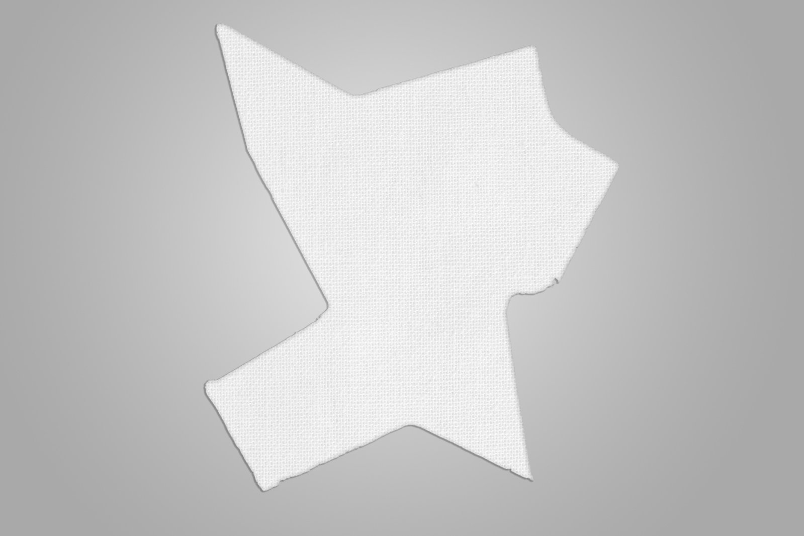 CanvasShape_image5.jpg