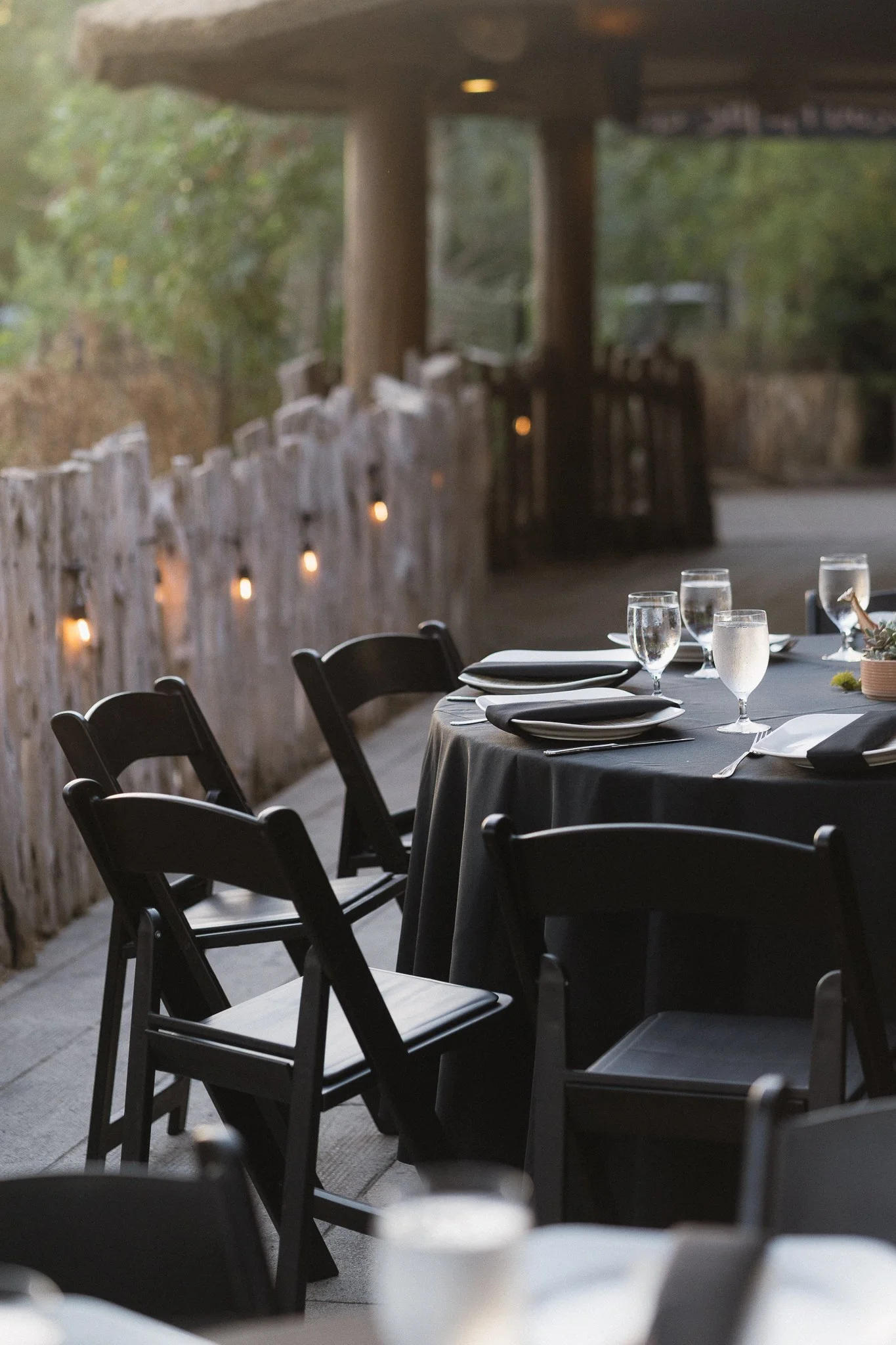 Melody + Daniel-590.jpeg