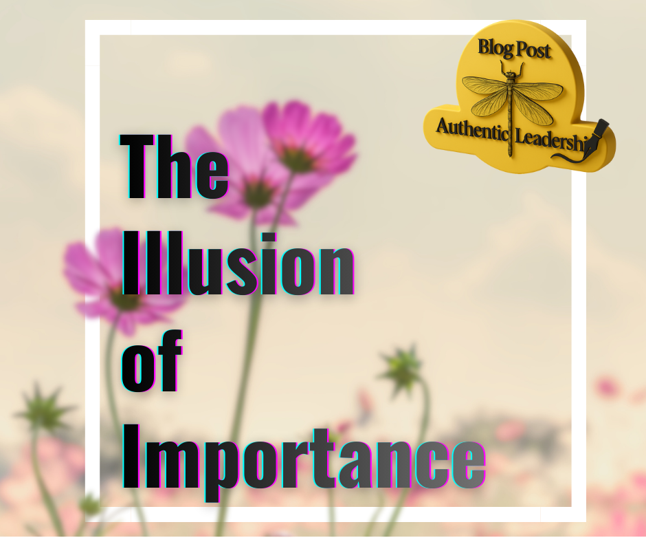 The Illusion of Importance