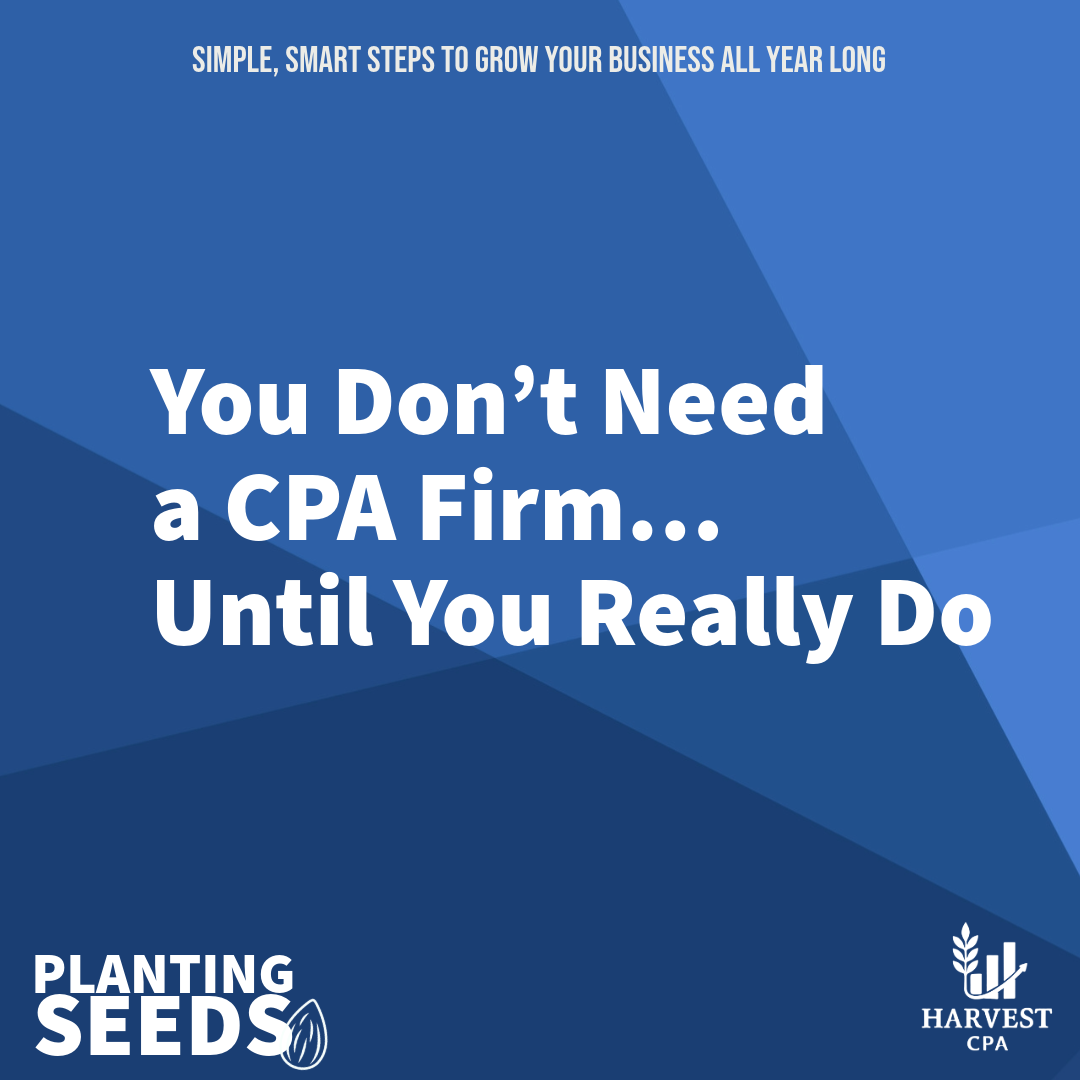 You Don’t Need a CPA Firm… Until You Really Do&nbsp;