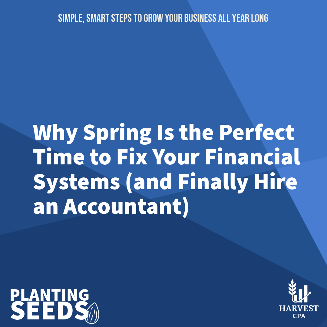 Why Spring Is the Perfect Time to Fix Your Financial Systems (and Finally Hire an Accountant)&nbsp;