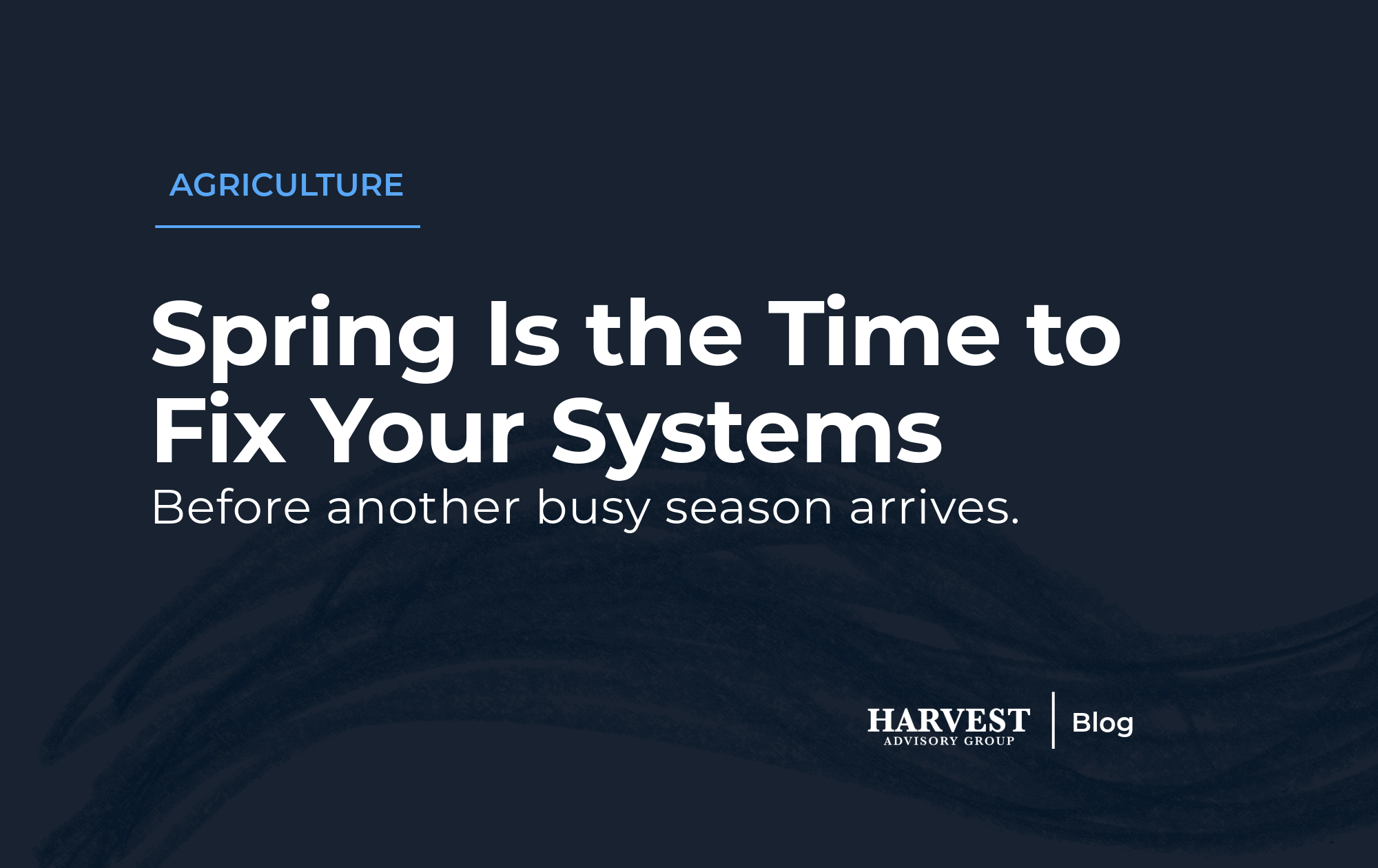 Why Spring Is the Perfect Time to Fix Your Financial Systems (and Finally Hire an Accountant)&nbsp;