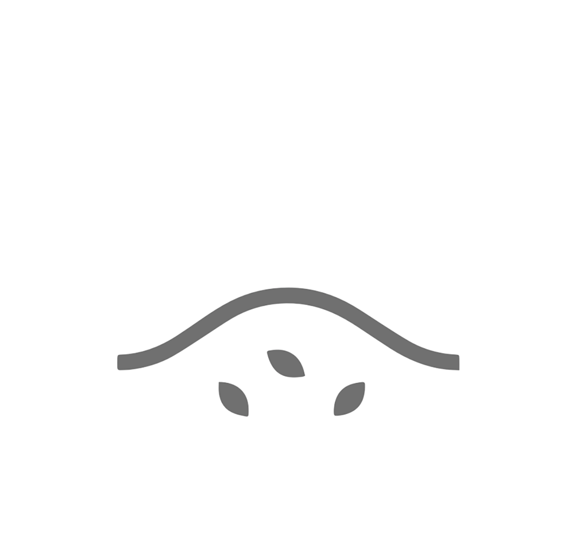 Minimalist gray icon representing soil erosion with a curved line above and four small leaves underneath.