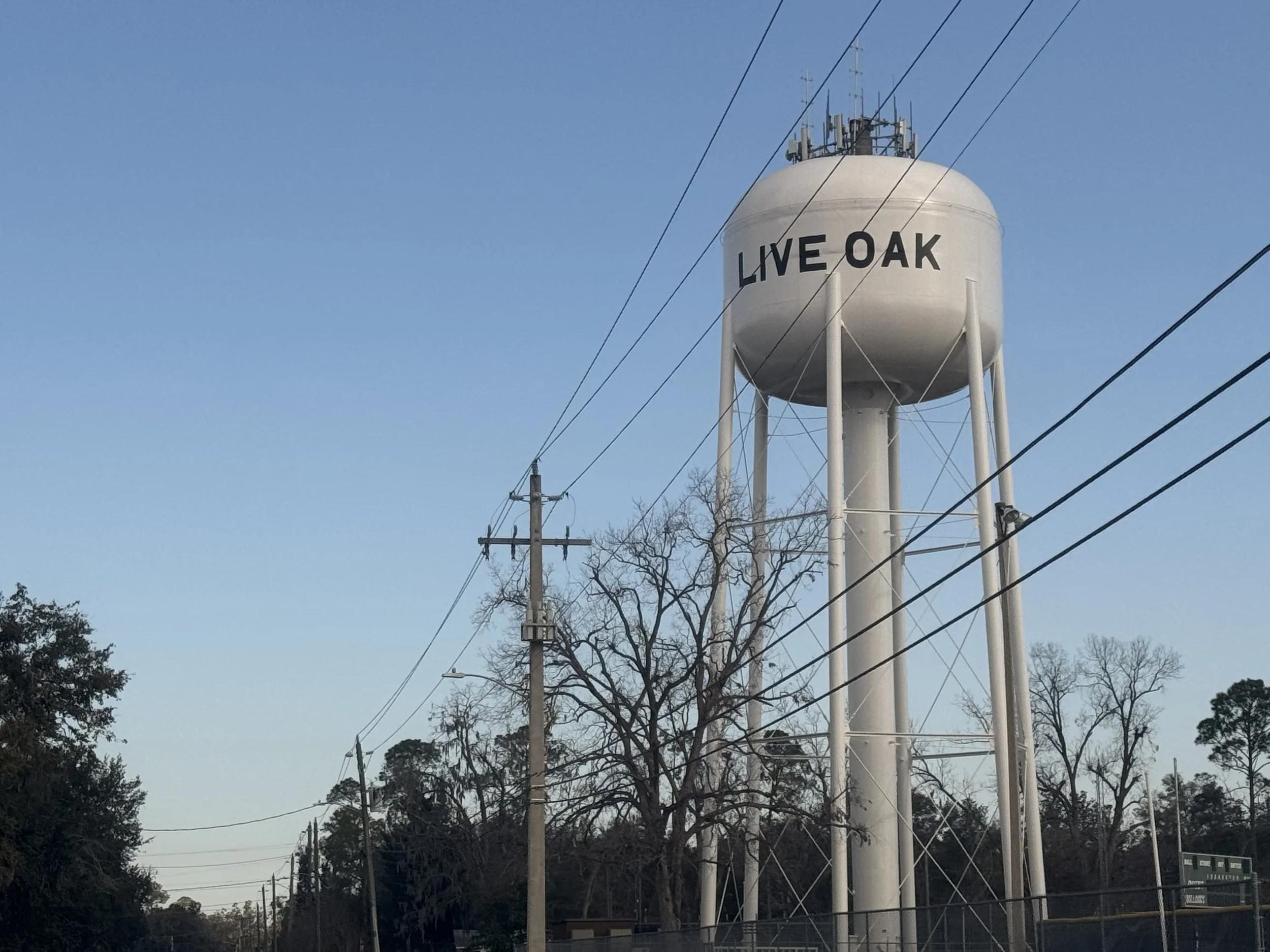 A white water tower with the words 'LIVE OAK' written on it, standing beside utility poles and leafless trees against a clear blue sky.