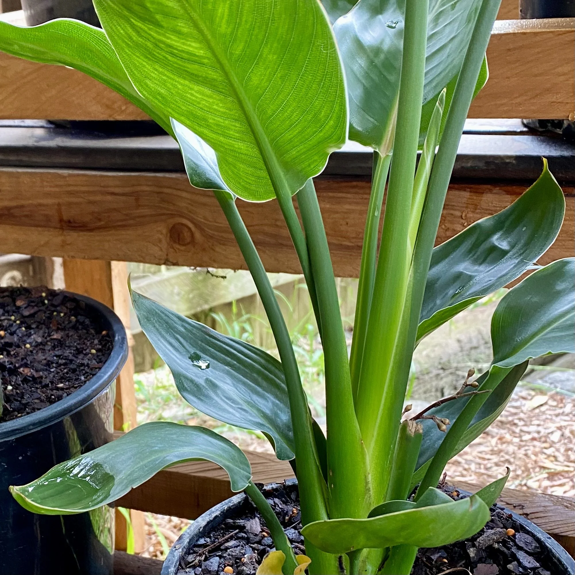 Living in the moment