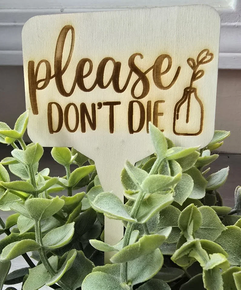 plant8.jpg