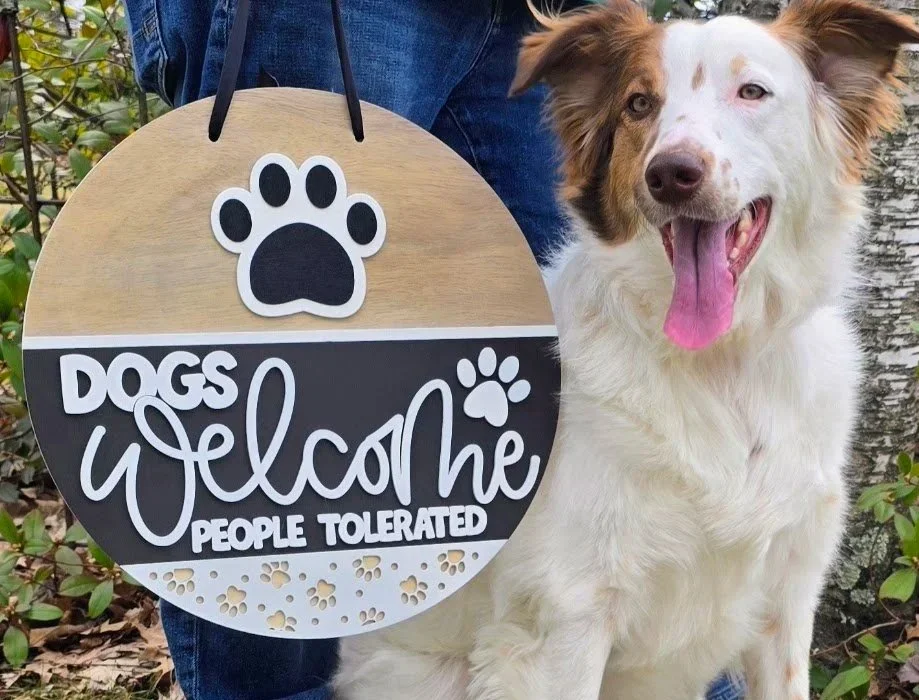 dogs+welcome+scout.jpg