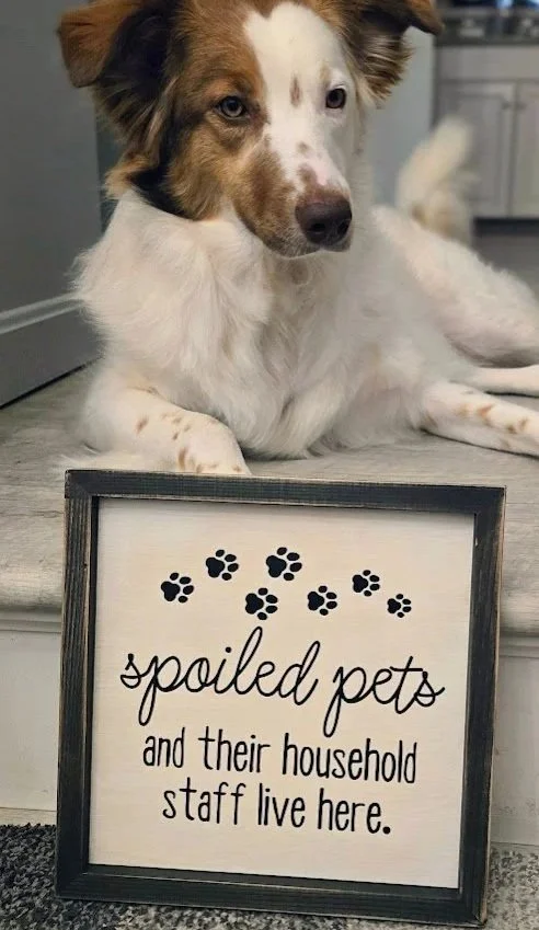 spoiled3.jpg