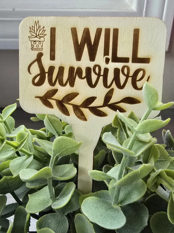 plant4.jpg