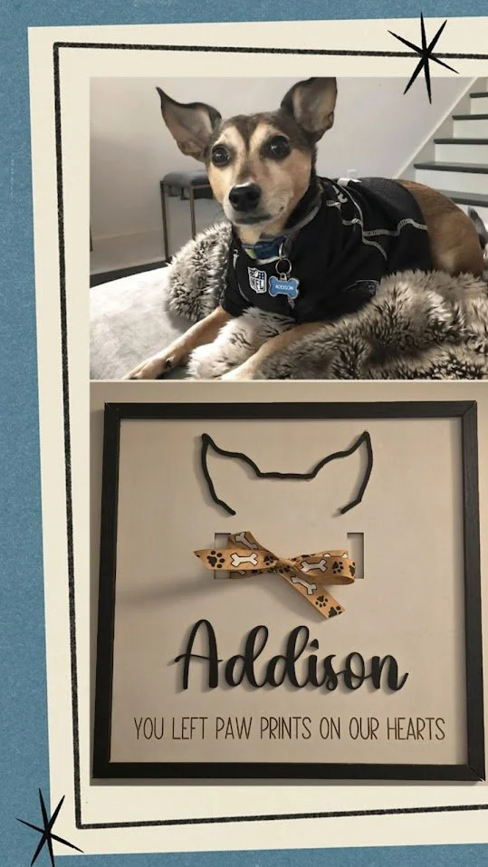A small dog wearing a black jacket, lying on a plush blanket, looks directly at the camera. Below the dog, there is a framed sign with a wire outline of a dog's ears, a bow with paw print patterns, and the name "Addison". The sign reads, "You left pa