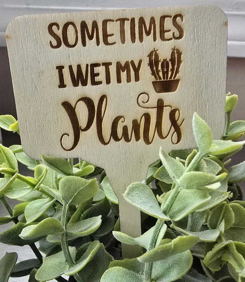 plant11.jpg