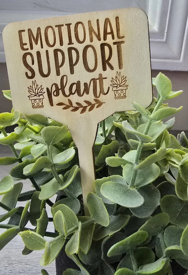 plant2.jpg