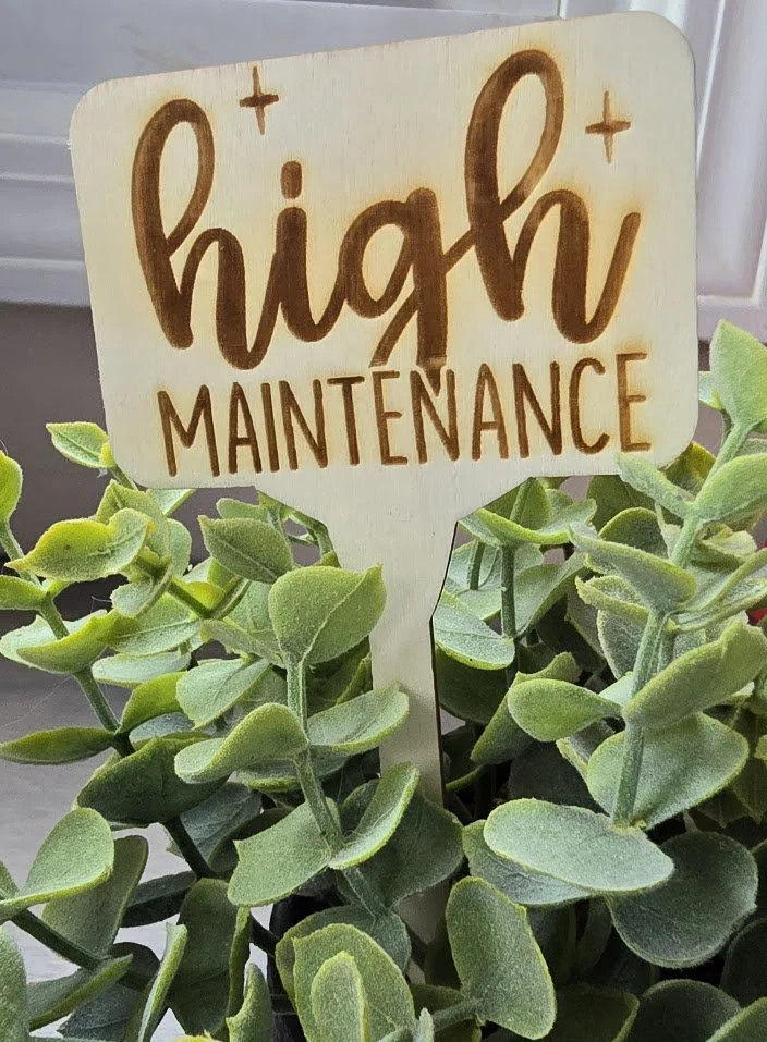 plant6.jpg